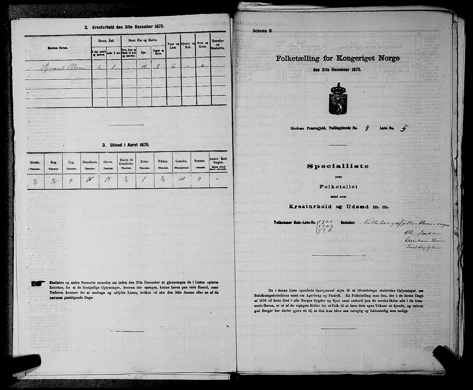 RA, 1875 census for 0231P Skedsmo, 1875, p. 518