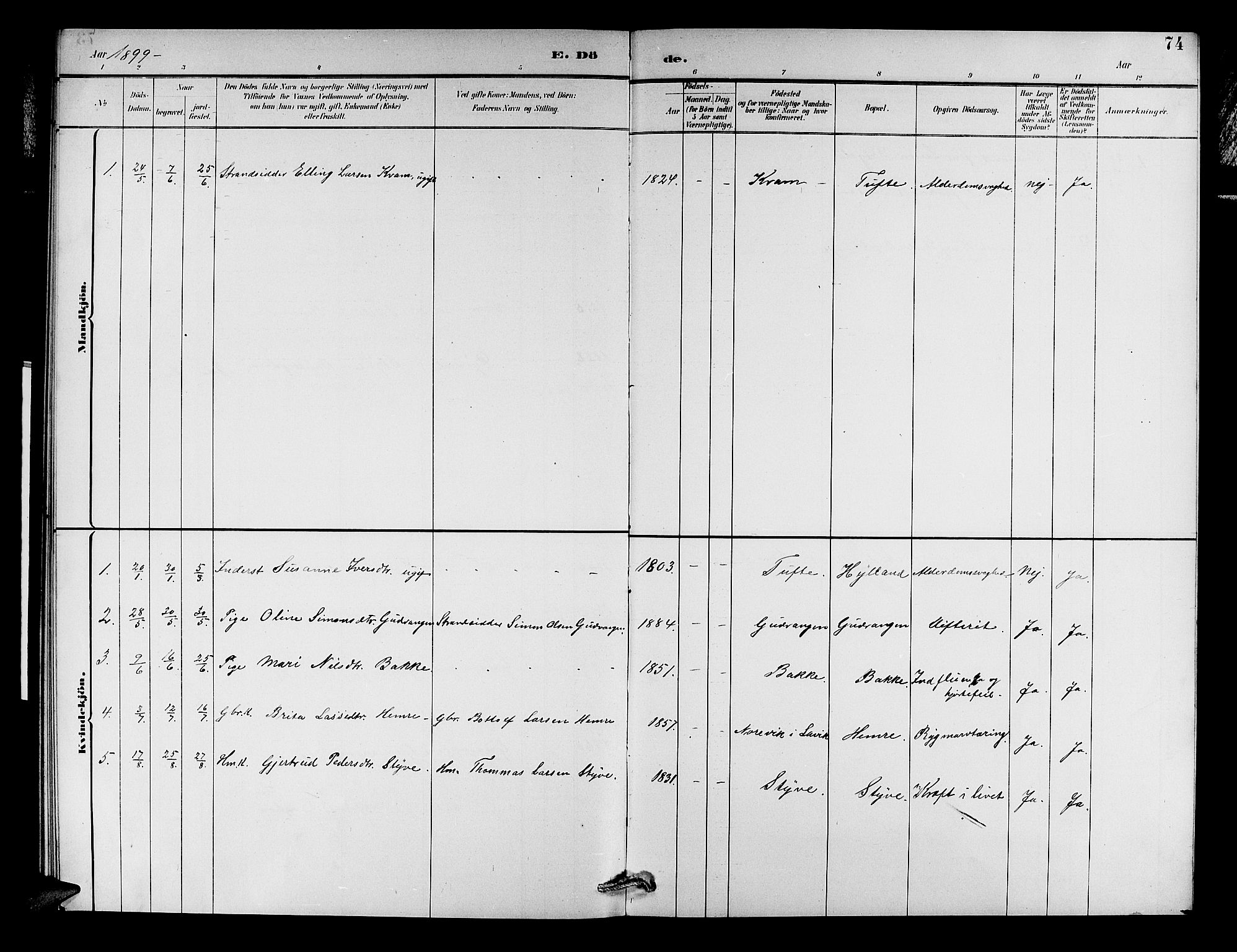 Aurland sokneprestembete, SAB/A-99937/H/Hb/Hbc/L0002: Parish register (copy) no. C 2, 1883-1900, p. 74