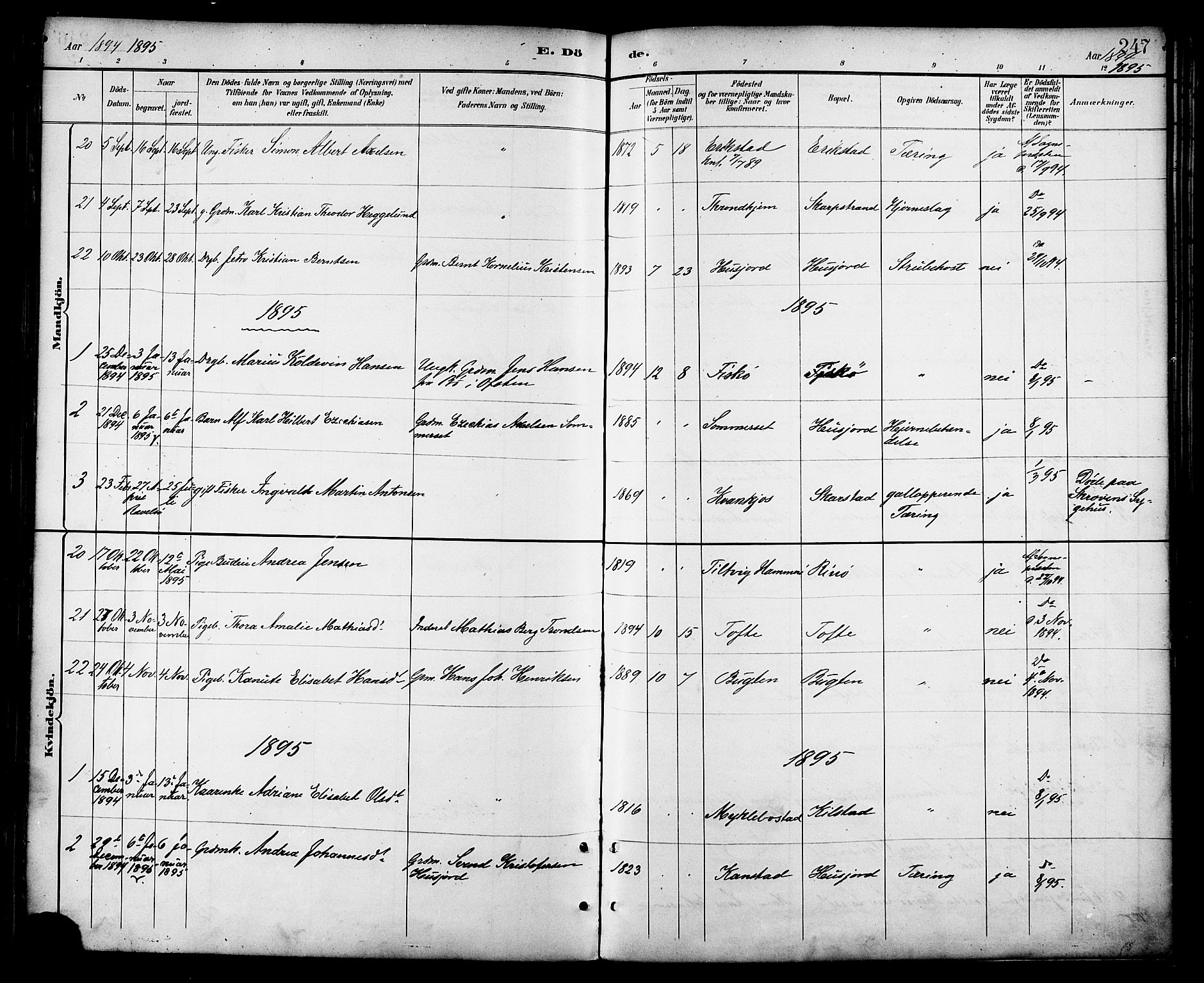 Ministerialprotokoller, klokkerbøker og fødselsregistre - Nordland, SAT/A-1459/872/L1035: Parish register (official) no. 872A10, 1884-1896, p. 247