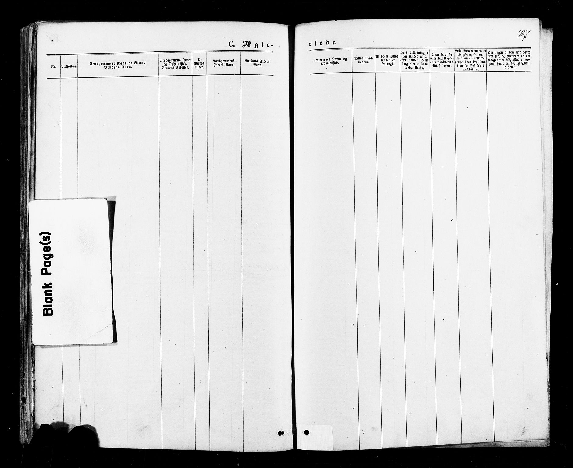 Halden prestekontor Kirkebøker, AV/SAO-A-10909/F/Fa/L0009: Parish register (official) no. I 9, 1866-1877, p. 487