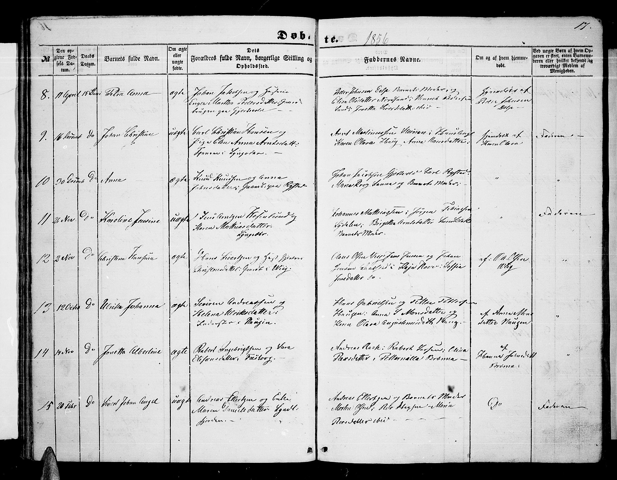 Ministerialprotokoller, klokkerbøker og fødselsregistre - Nordland, AV/SAT-A-1459/876/L1102: Parish register (copy) no. 876C01, 1852-1886, p. 17