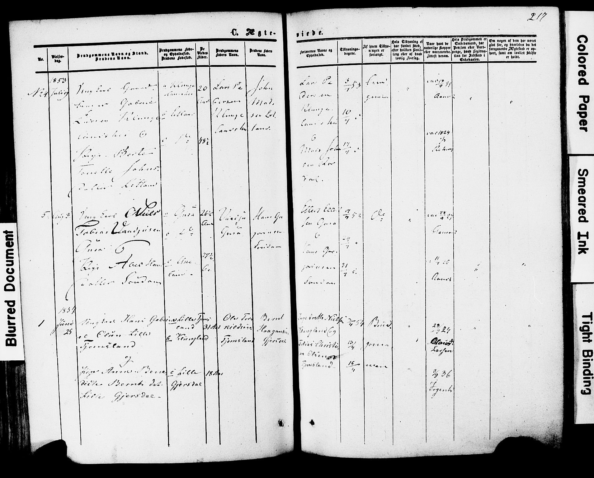 Herad sokneprestkontor, SAK/1111-0018/F/Fa/Faa/L0005: Parish register (official) no. A 5, 1853-1886, p. 217