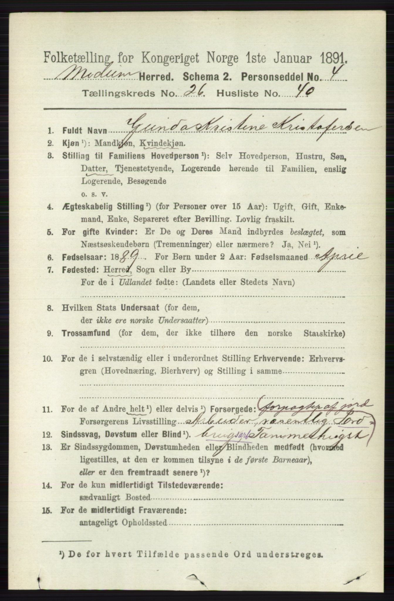 RA, 1891 census for 0623 Modum, 1891, p. 9625