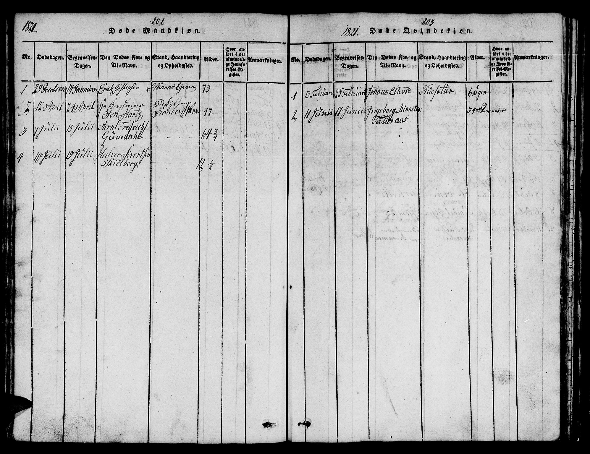 Ministerialprotokoller, klokkerbøker og fødselsregistre - Sør-Trøndelag, AV/SAT-A-1456/671/L0842: Parish register (copy) no. 671C01, 1816-1867, p. 202-203