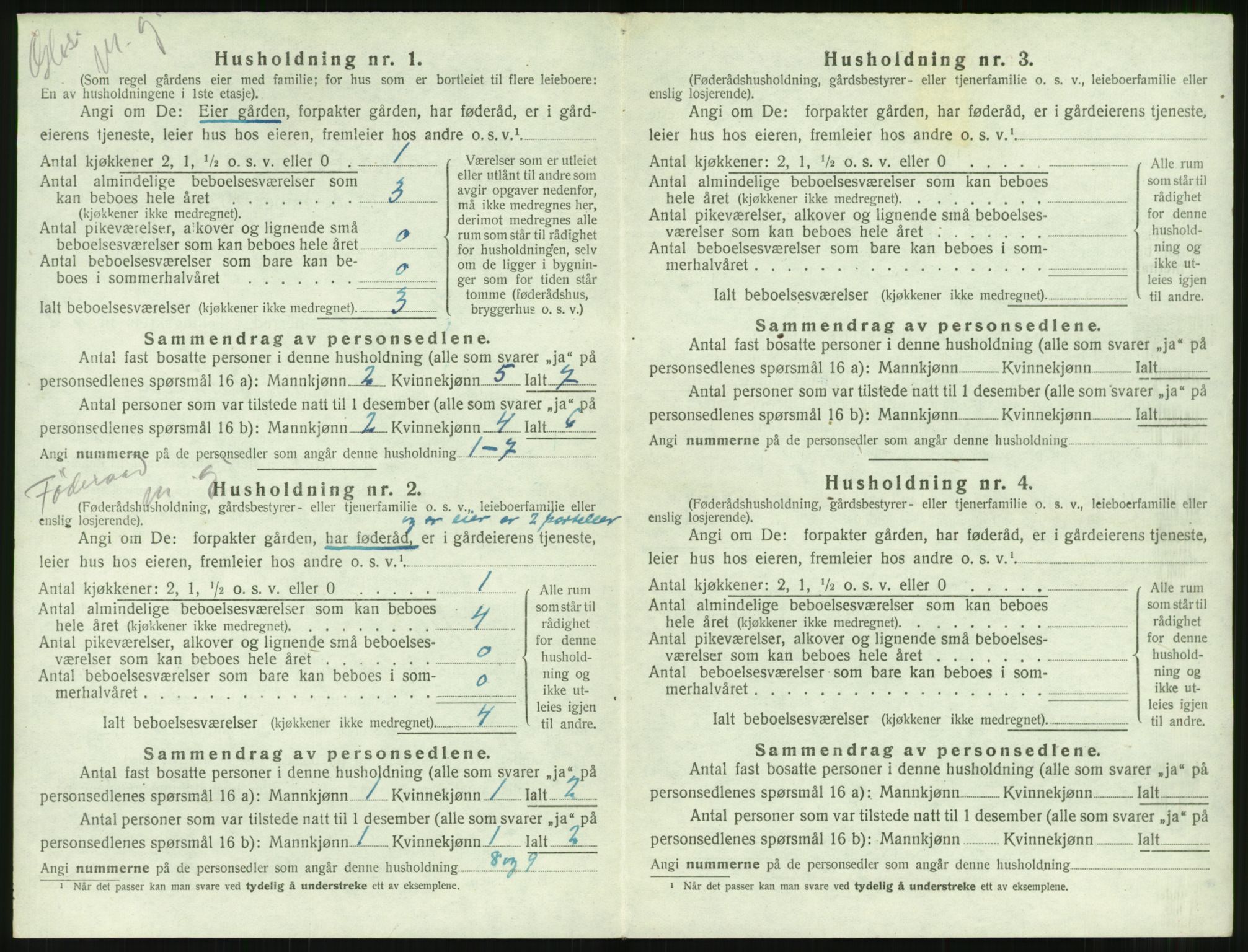 SAT, 1920 census for Borgund, 1920, p. 1981