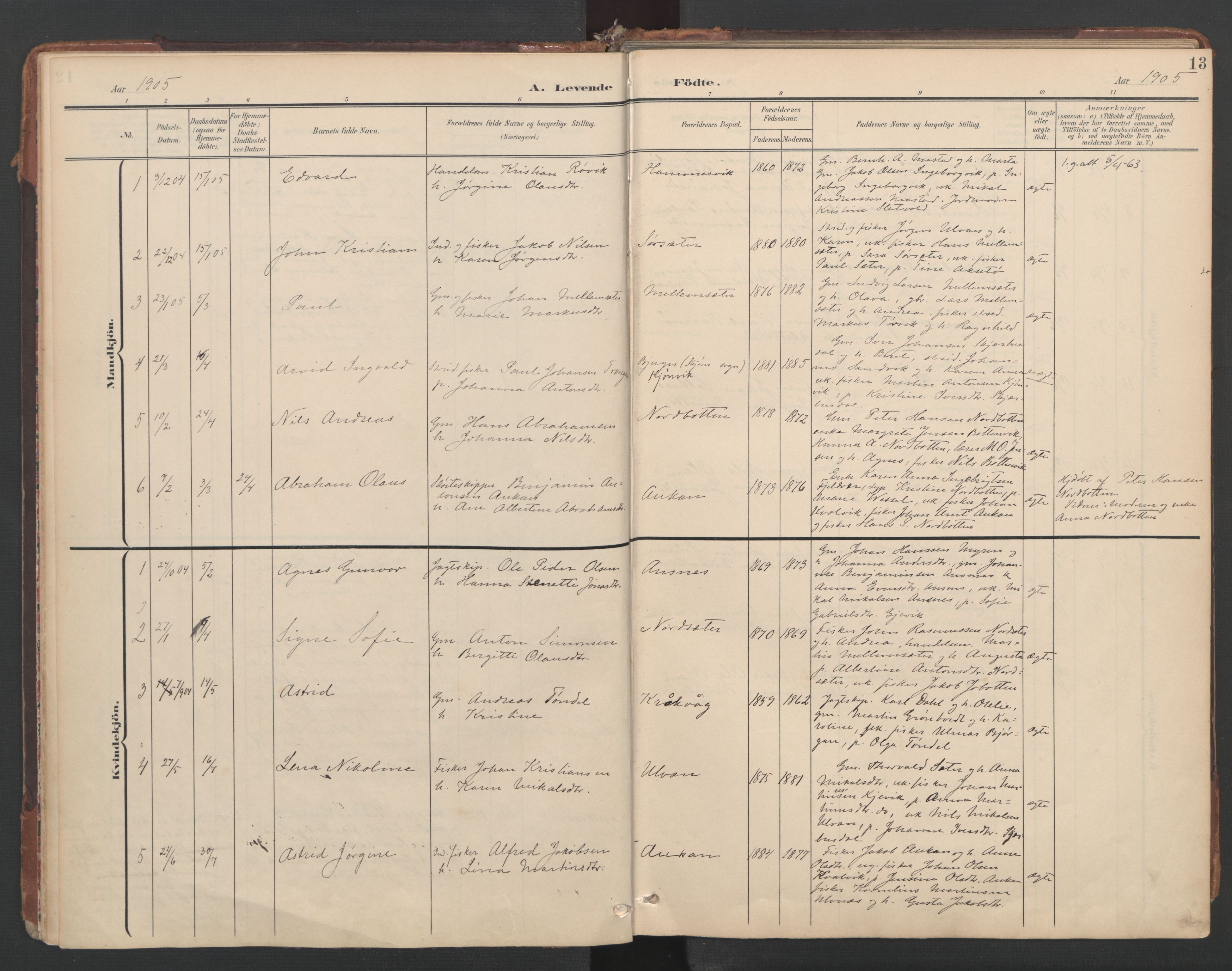 Ministerialprotokoller, klokkerbøker og fødselsregistre - Sør-Trøndelag, SAT/A-1456/638/L0568: Parish register (official) no. 638A01, 1901-1916, p. 13