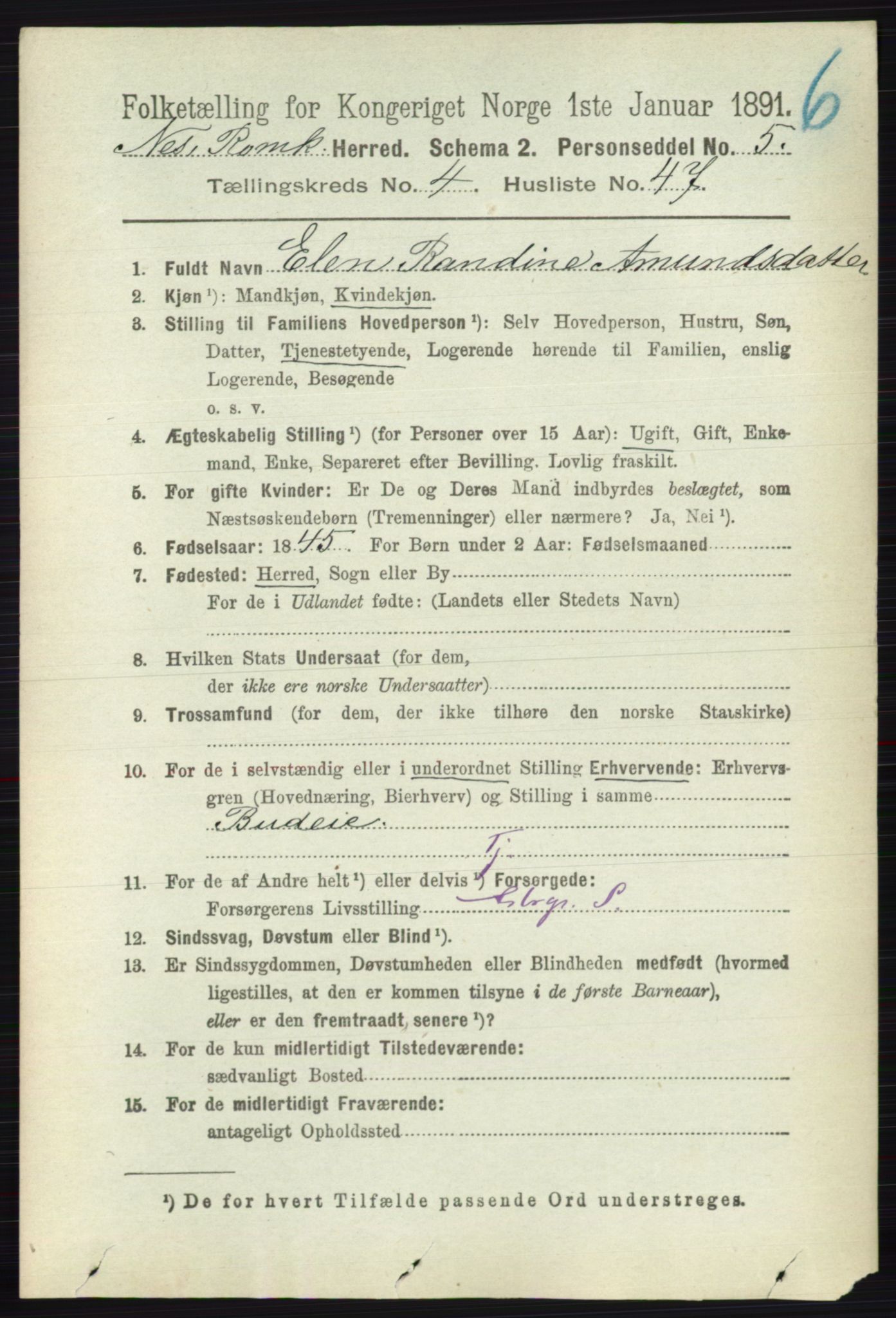 RA, 1891 census for 0236 Nes, 1891, p. 2528