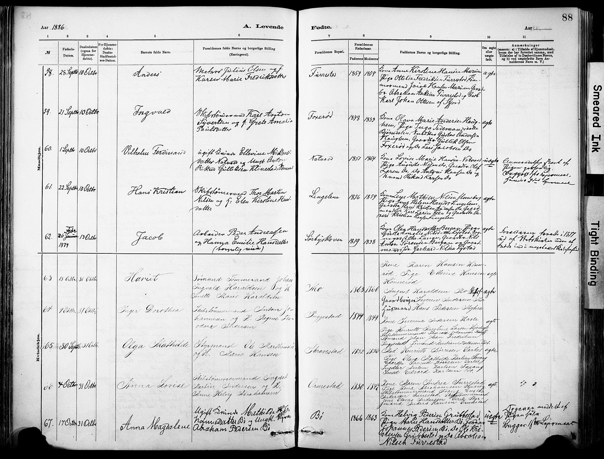 Sandar kirkebøker, SAKO/A-243/F/Fa/L0012: Parish register (official) no. 12, 1883-1895, p. 88