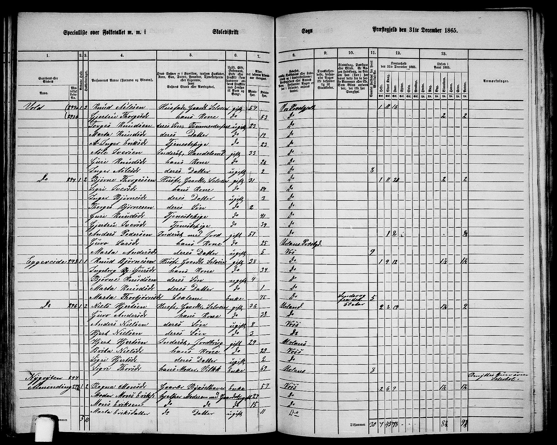 RA, 1865 census for Voss, 1865, p. 146