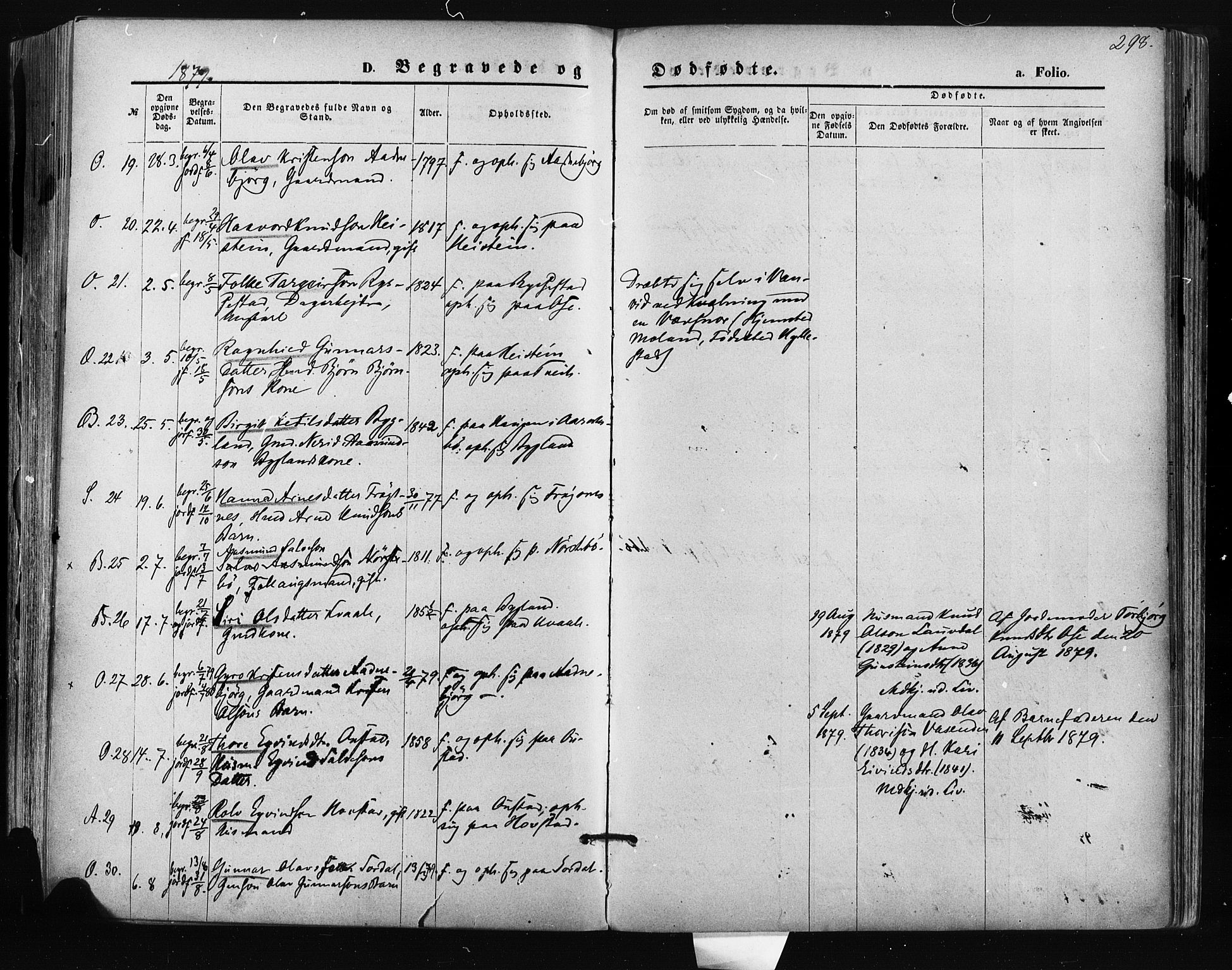 Bygland sokneprestkontor, SAK/1111-0006/F/Fa/Fab/L0006: Parish register (official) no. A 6, 1873-1884, p. 298