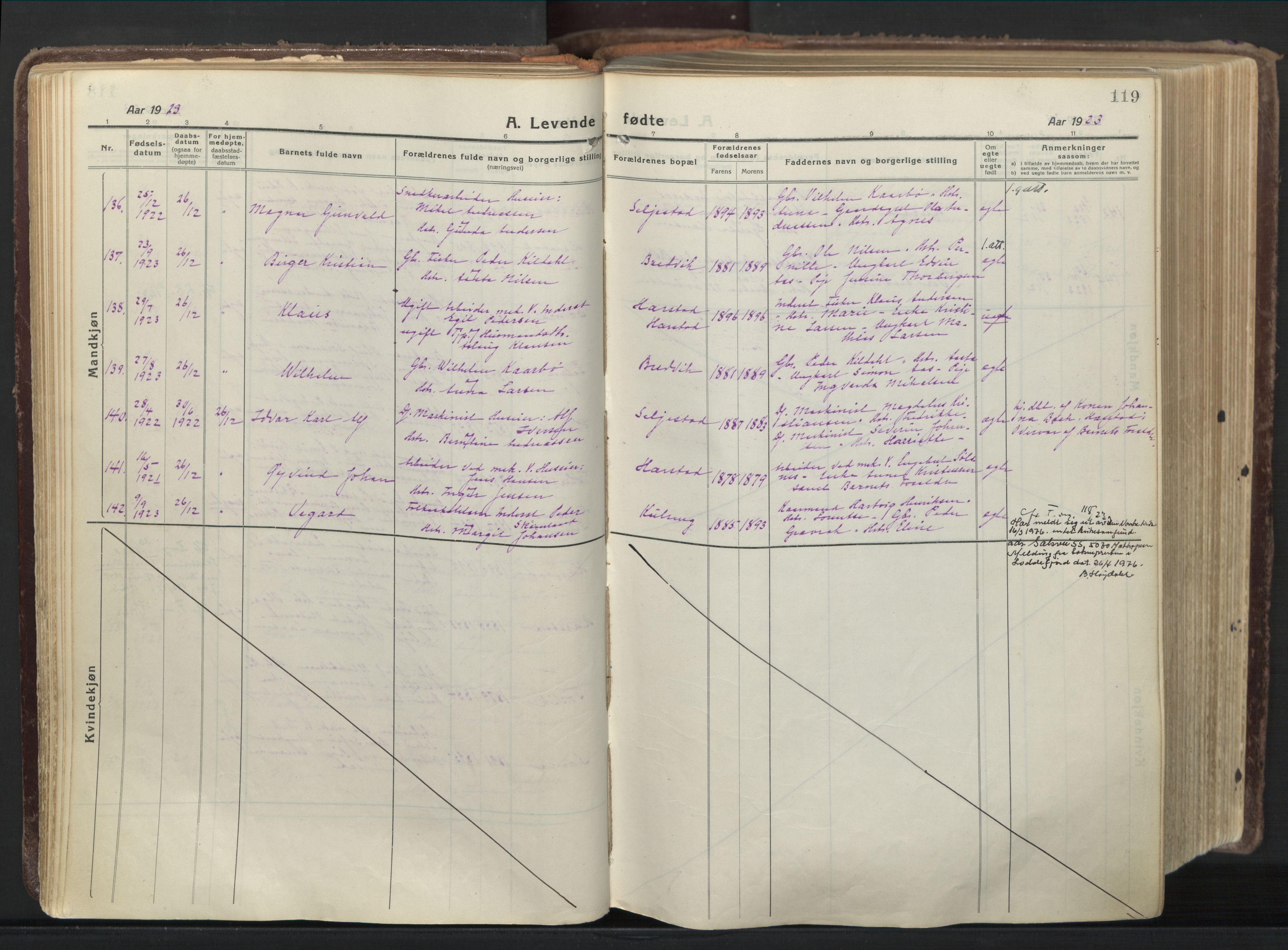 Trondenes sokneprestkontor, AV/SATØ-S-1319/H/Ha/L0019kirke: Parish register (official) no. 19, 1919-1928, p. 119