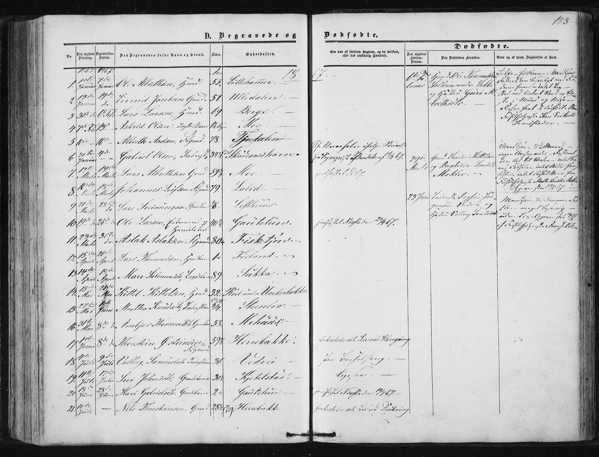 Suldal sokneprestkontor, AV/SAST-A-101845/01/IV/L0009: Parish register (official) no. A 9, 1854-1868, p. 183