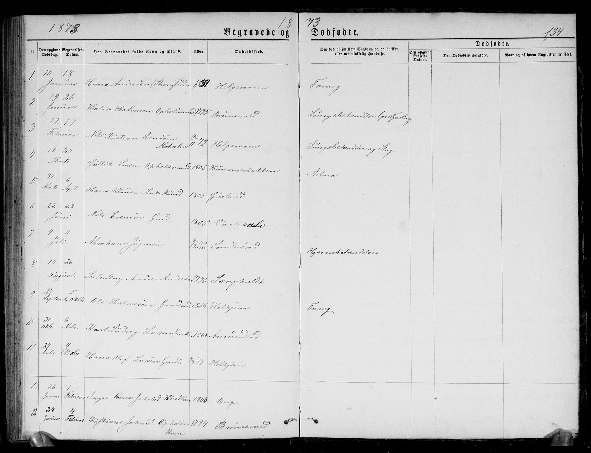 Brunlanes kirkebøker, SAKO/A-342/G/Gb/L0001: Parish register (copy) no. II 1, 1866-1877, p. 134