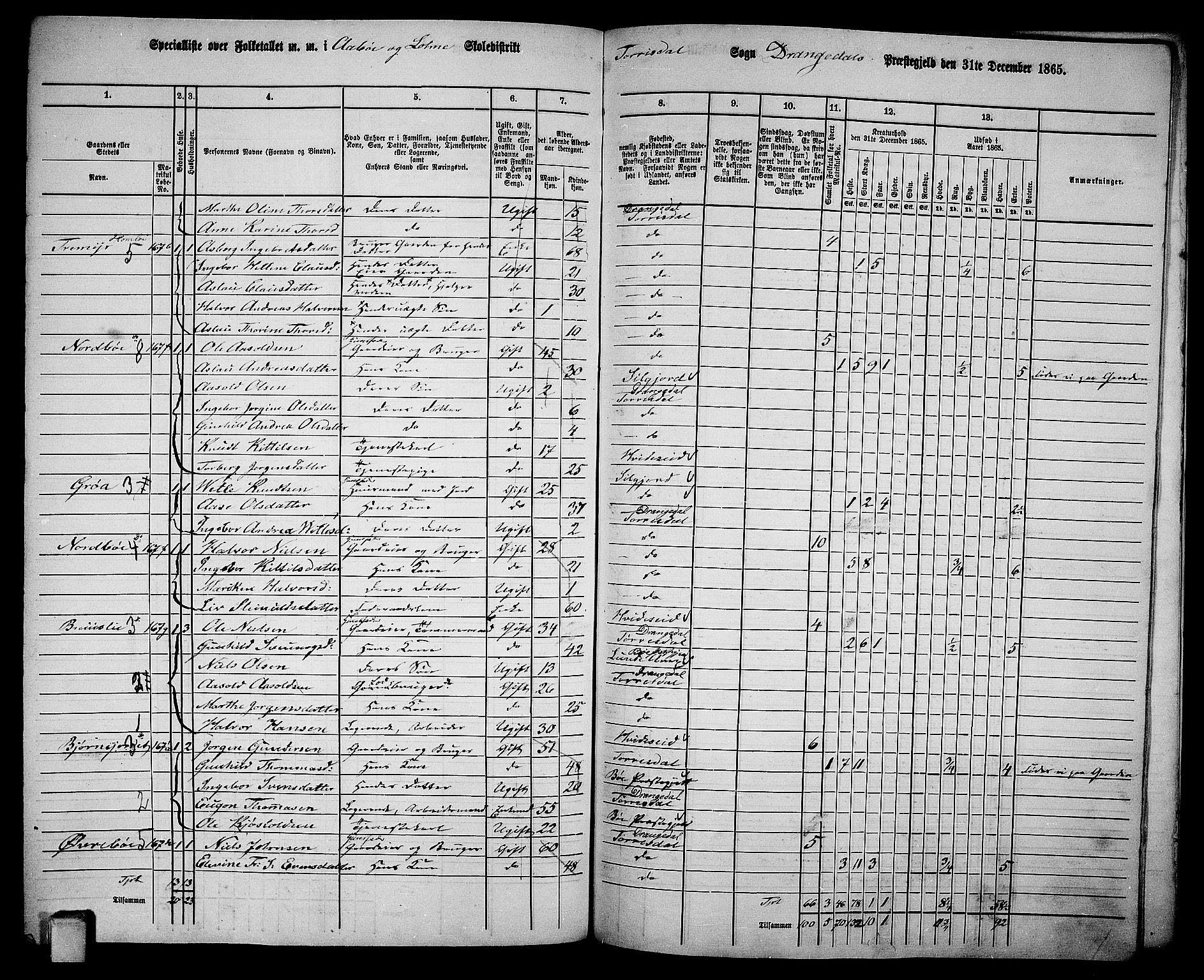 RA, 1865 census for Drangedal, 1865, p. 123