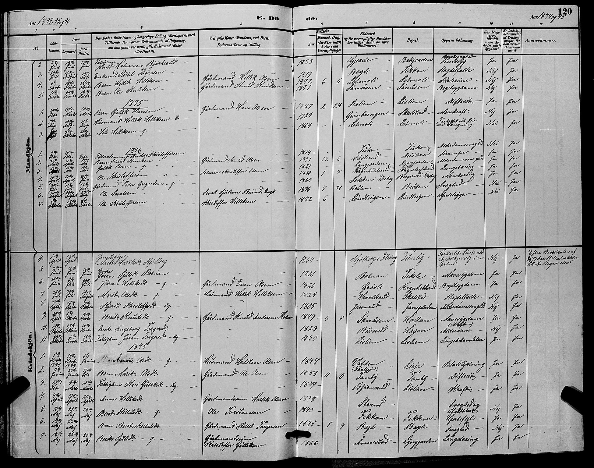 Flesberg kirkebøker, SAKO/A-18/G/Ga/L0004: Parish register (copy) no. I 4 /3, 1890-1898, p. 120