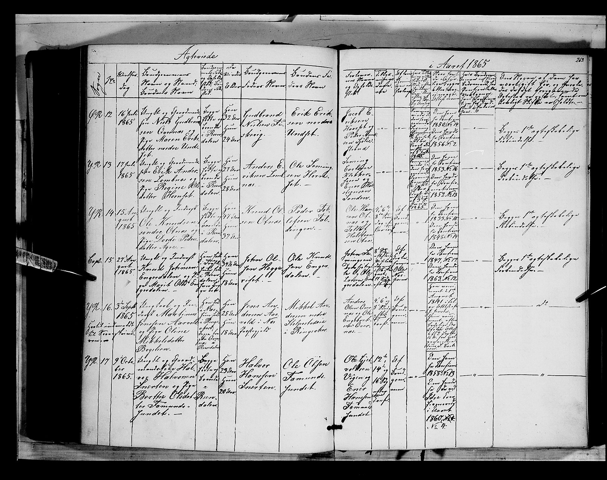 Rendalen prestekontor, AV/SAH-PREST-054/H/Ha/Haa/L0005: Parish register (official) no. 5, 1853-1866, p. 263