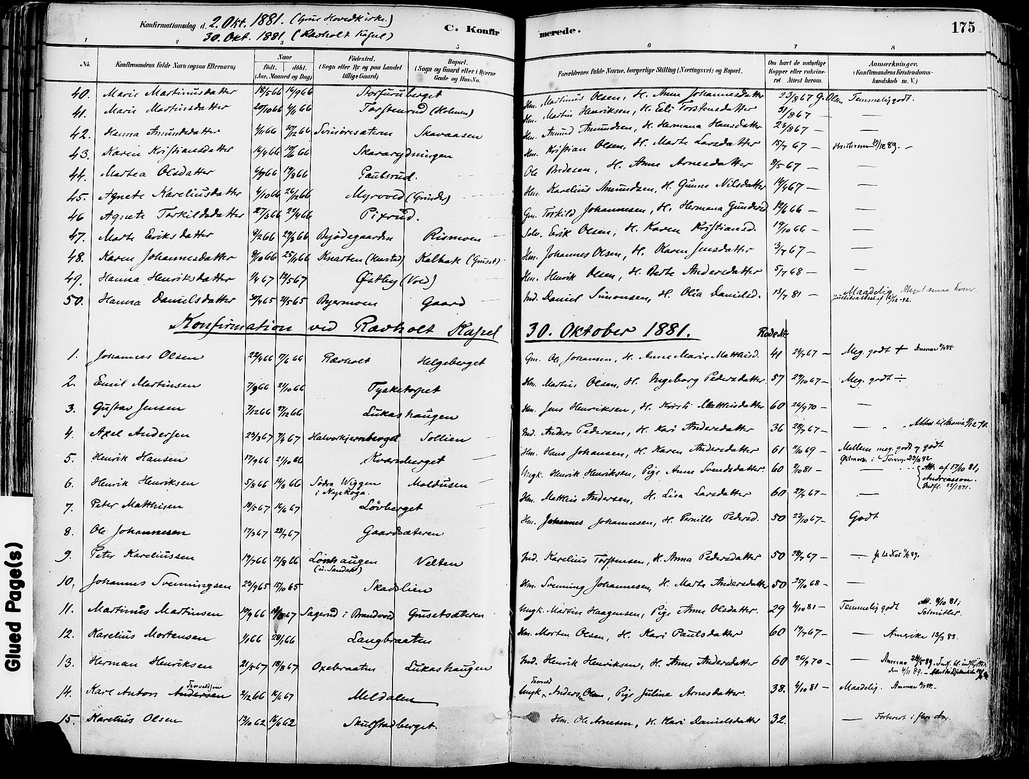 Grue prestekontor, SAH/PREST-036/H/Ha/Haa/L0012: Parish register (official) no. 12, 1881-1897, p. 175