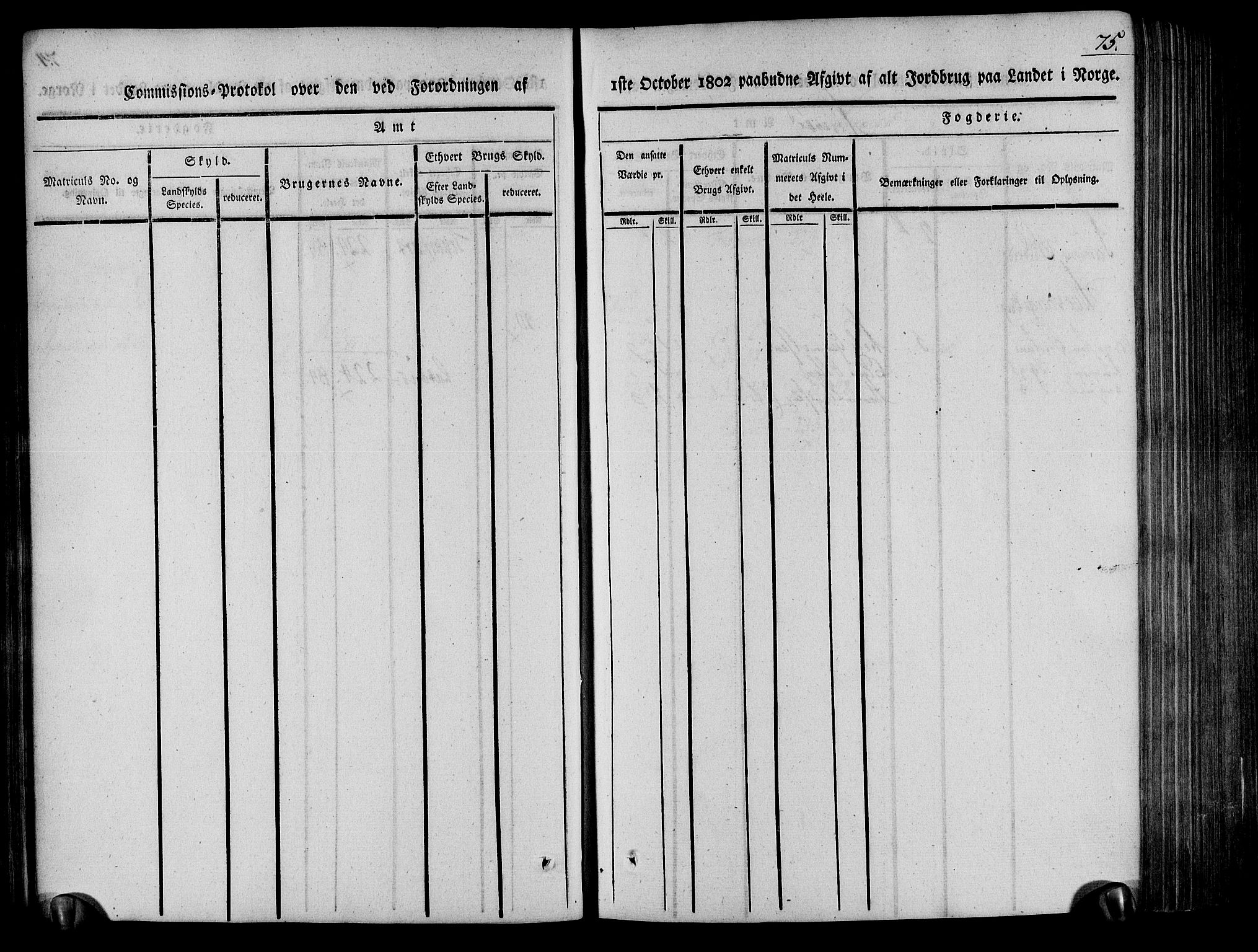 Rentekammeret inntil 1814, Realistisk ordnet avdeling, AV/RA-EA-4070/N/Ne/Nea/L0078: Nedenes fogderi. Kommisjonsprotokoll "Nr. 1", for Sand og Bringsvær skipreider, 1803, p. 77