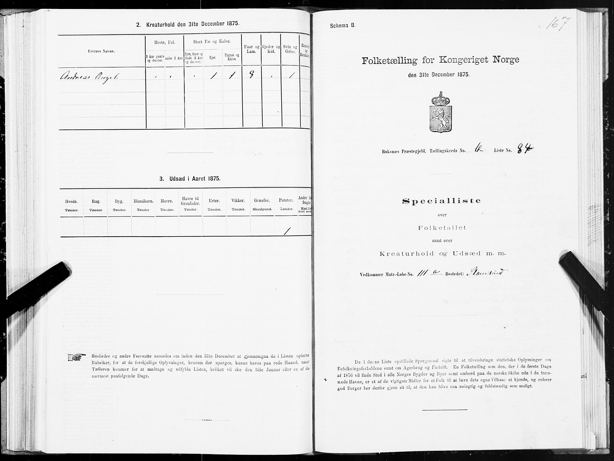 SAT, 1875 census for 1860P Buksnes, 1875, p. 3167