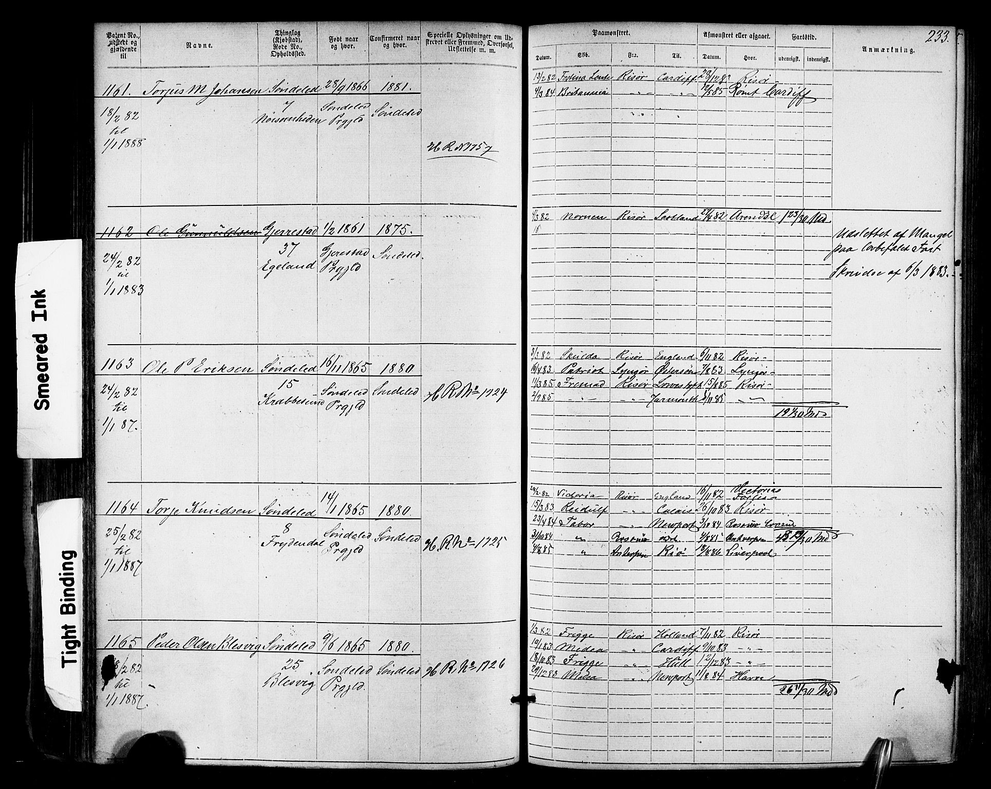 Risør mønstringskrets, AV/SAK-2031-0010/F/Fa/L0003: Annotasjonsrulle nr 1-1913 med register, T-7, 1863-1899, p. 171