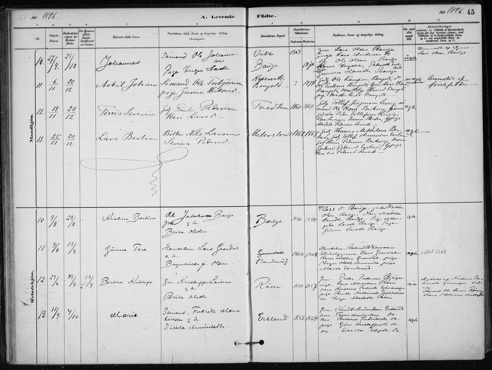 Skånevik sokneprestembete, SAB/A-77801/H/Haa: Parish register (official) no. C  1, 1879-1917, p. 45