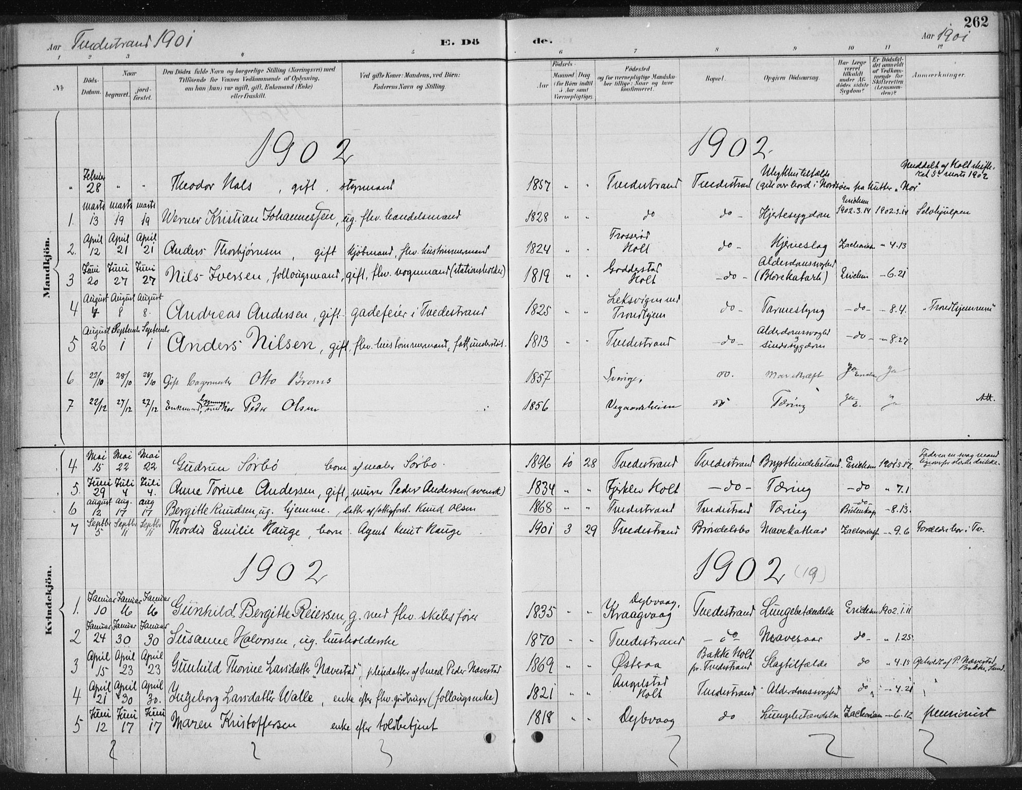 Tvedestrand sokneprestkontor, AV/SAK-1111-0042/F/Fa/L0001: Parish register (official) no. A 1, 1885-1916, p. 262