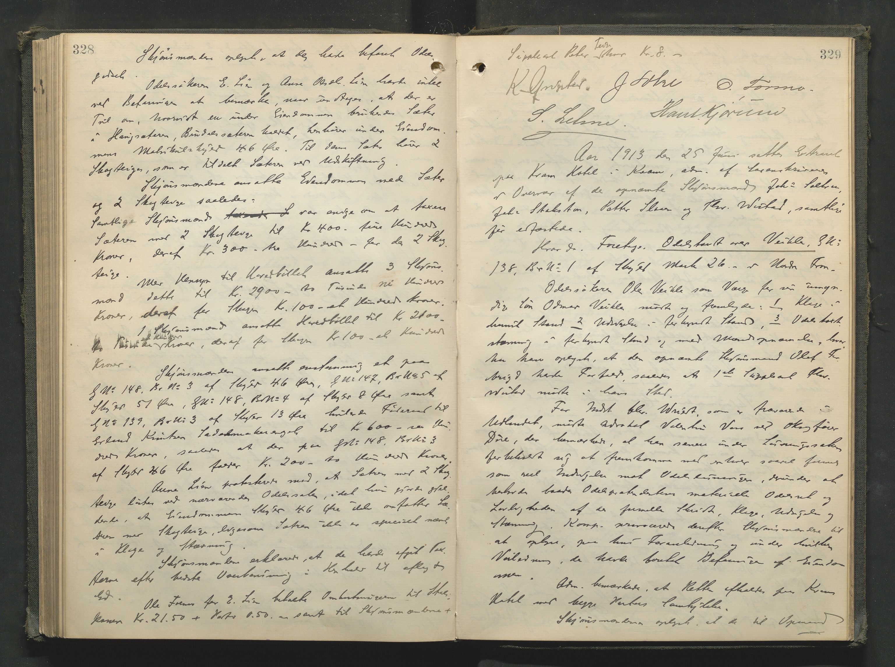 Nord-Gudbrandsdal tingrett, AV/SAH-TING-002/G/Gc/Gcb/L0008: Ekstrarettsprotokoll for åstedssaker, 1909-1913, p. 328-329