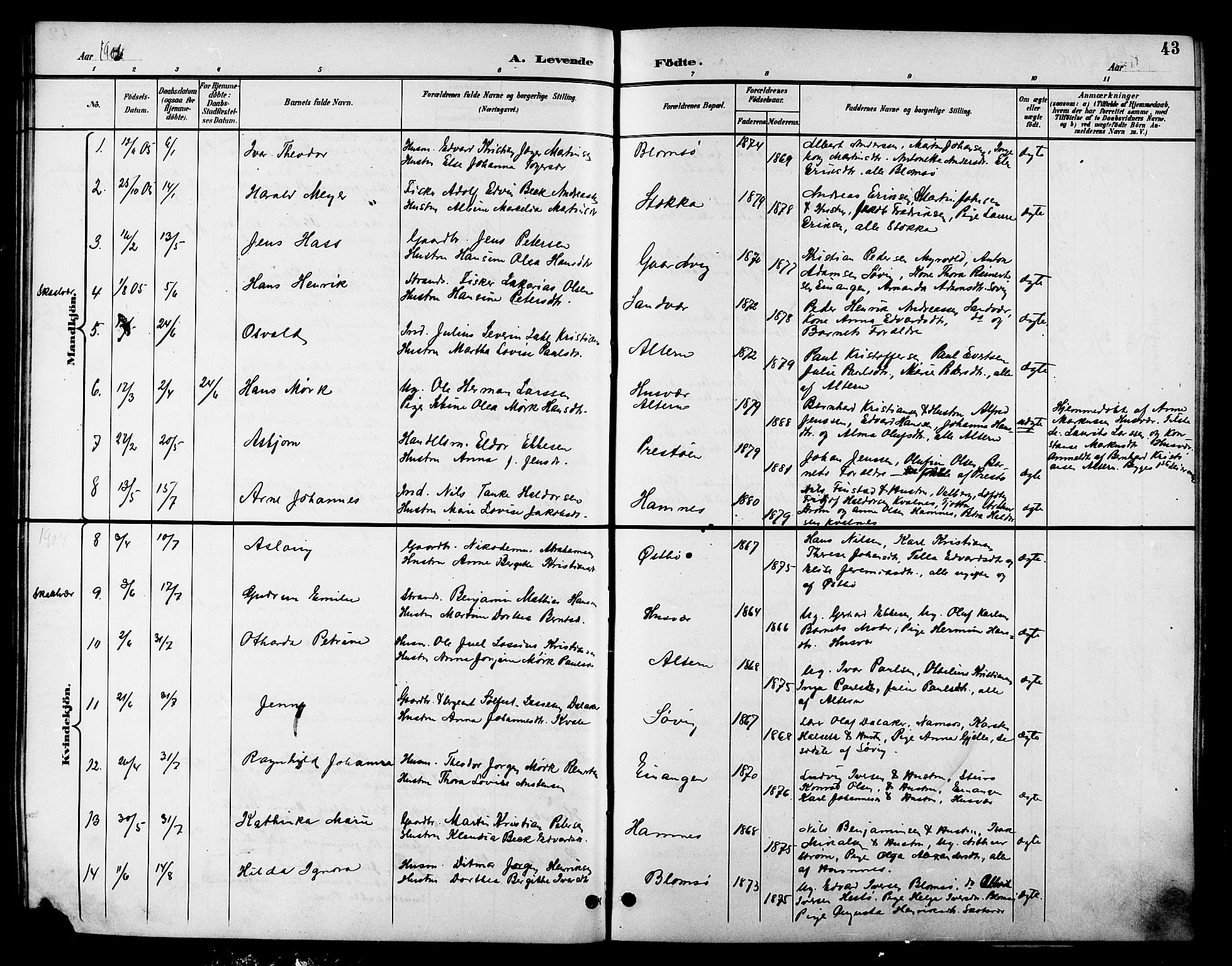 Ministerialprotokoller, klokkerbøker og fødselsregistre - Nordland, AV/SAT-A-1459/830/L0463: Parish register (copy) no. 830C05, 1895-1906, p. 43