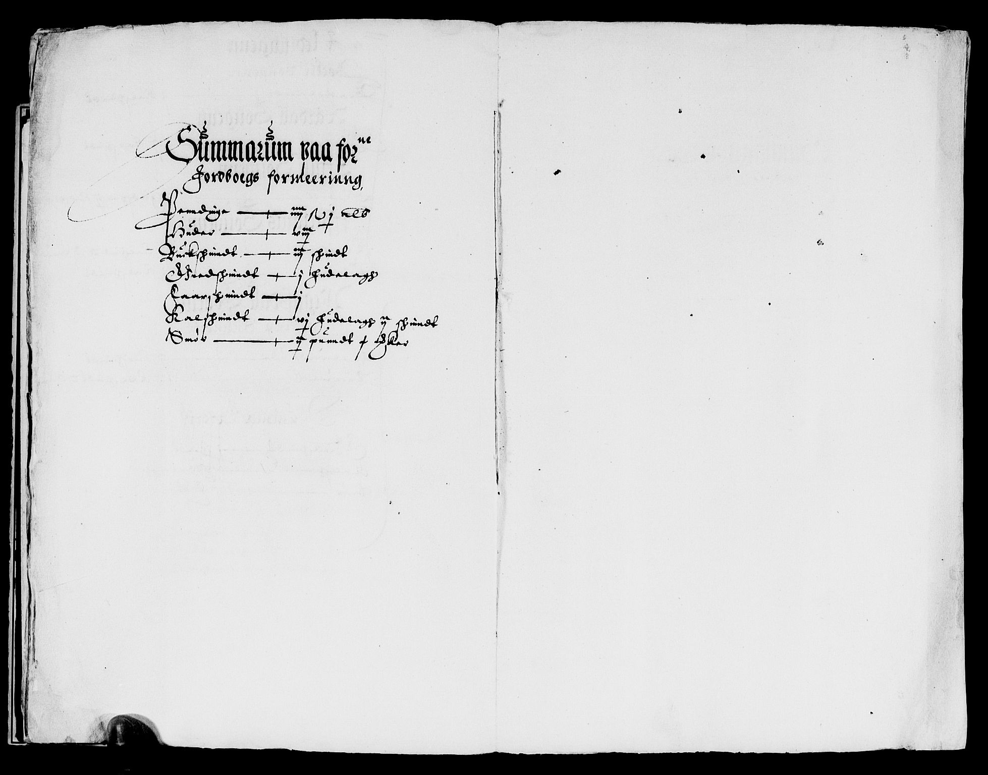 Rentekammeret inntil 1814, Reviderte regnskaper, Lensregnskaper, AV/RA-EA-5023/R/Rb/Rbq/L0010: Nedenes len. Mandals len. Råbyggelag., 1617-1619