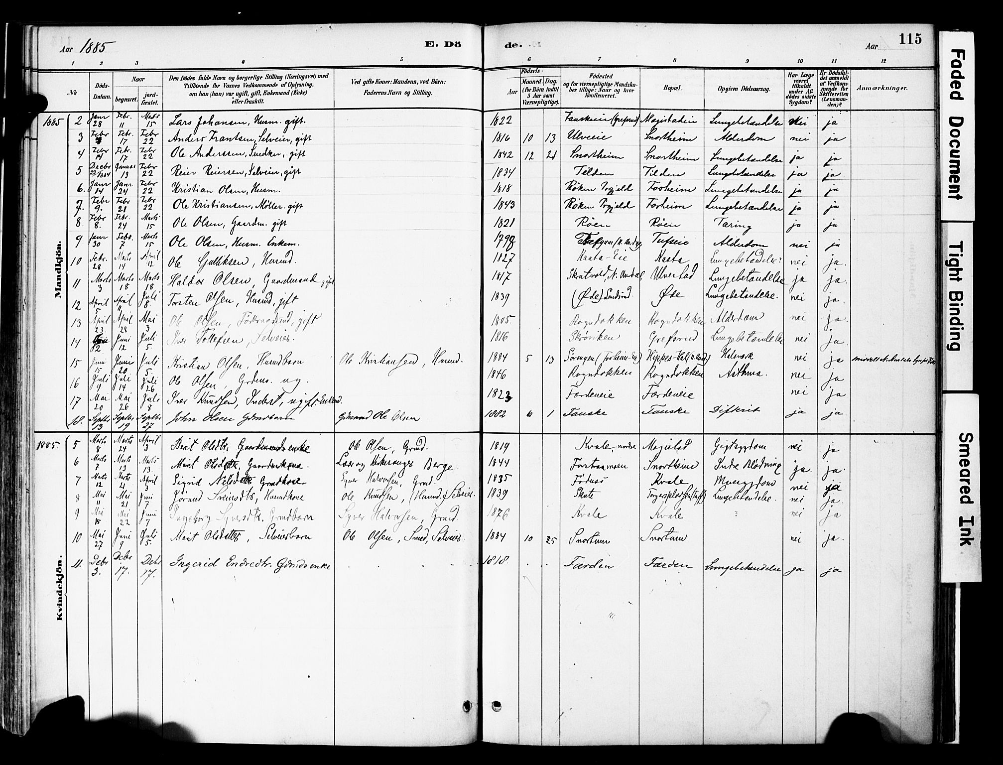 Vestre Slidre prestekontor, SAH/PREST-136/H/Ha/Haa/L0006: Parish register (official) no. 6, 1881-1912, p. 115