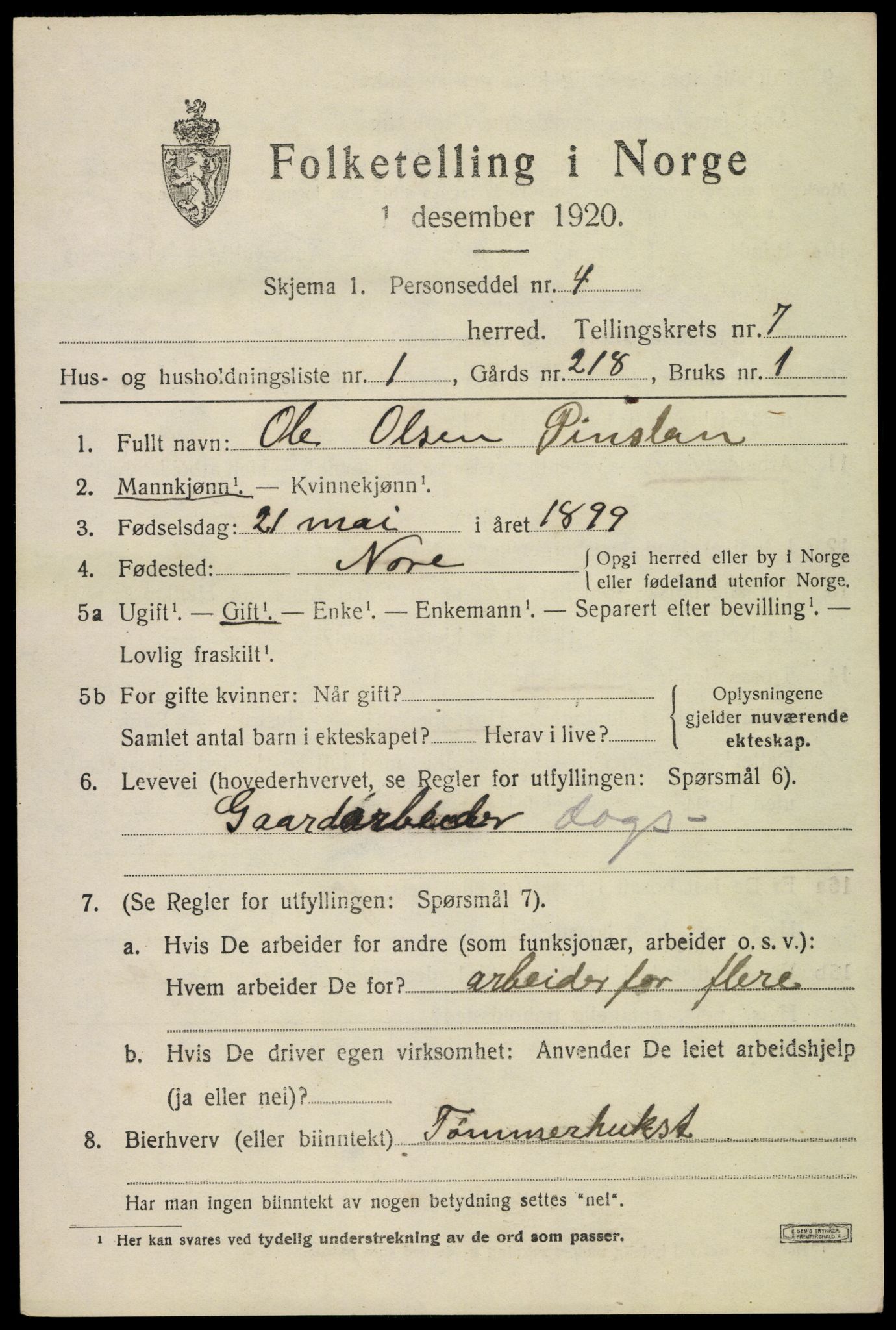 SAKO, 1920 census for Nore, 1920, p. 3054