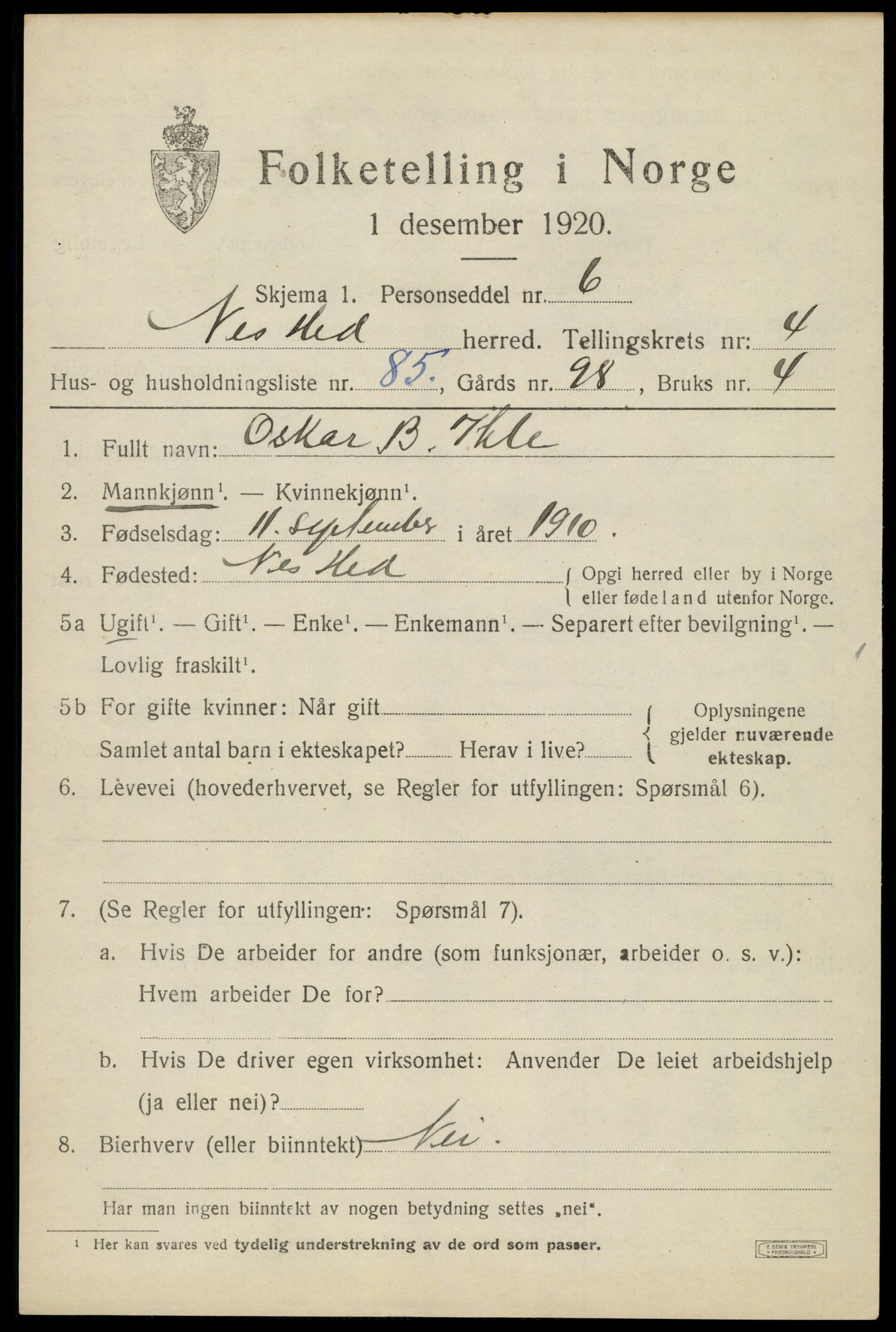 SAH, 1920 census for Nes (Hedmark), 1920, p. 6552