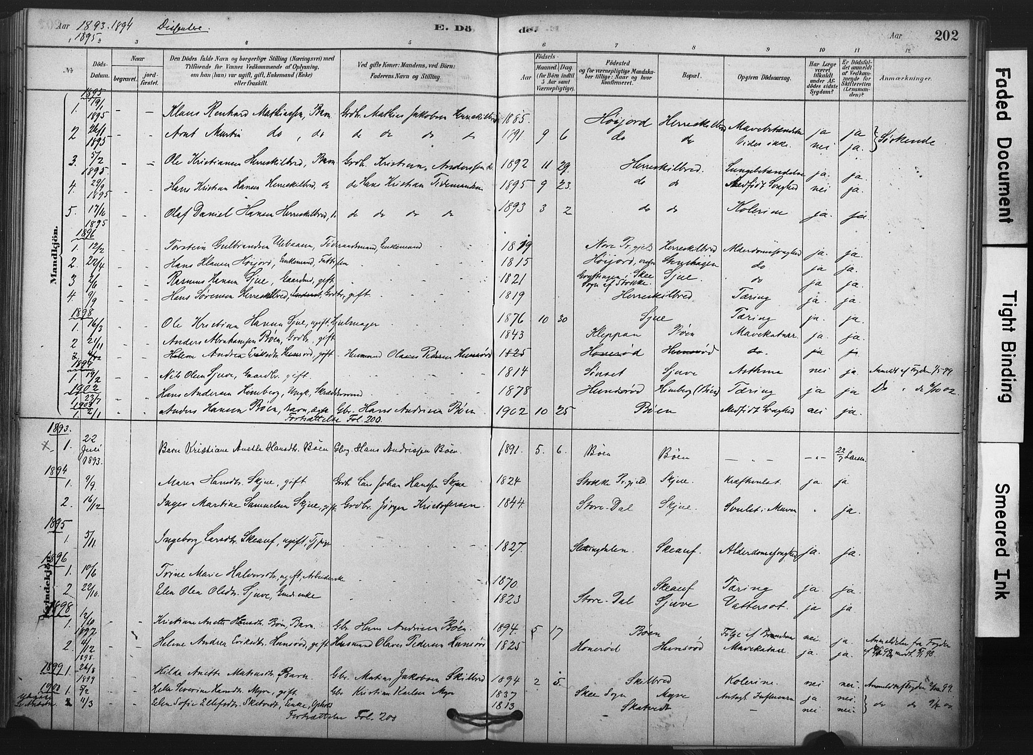 Andebu kirkebøker, SAKO/A-336/F/Fa/L0009: Parish register (official) no. 9, 1878-1909, p. 202
