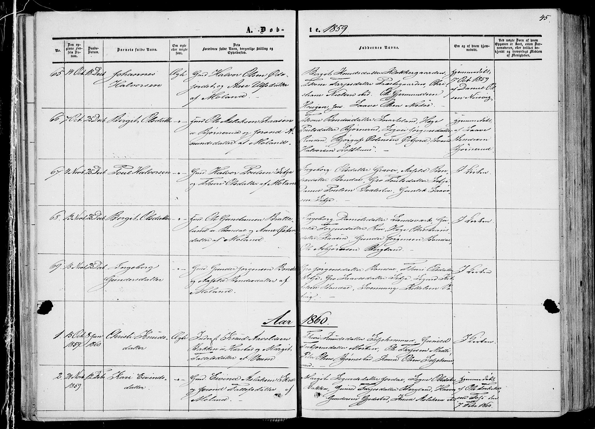 Fyresdal kirkebøker, SAKO/A-263/F/Fa/L0005: Parish register (official) no. I 5, 1855-1871, p. 45