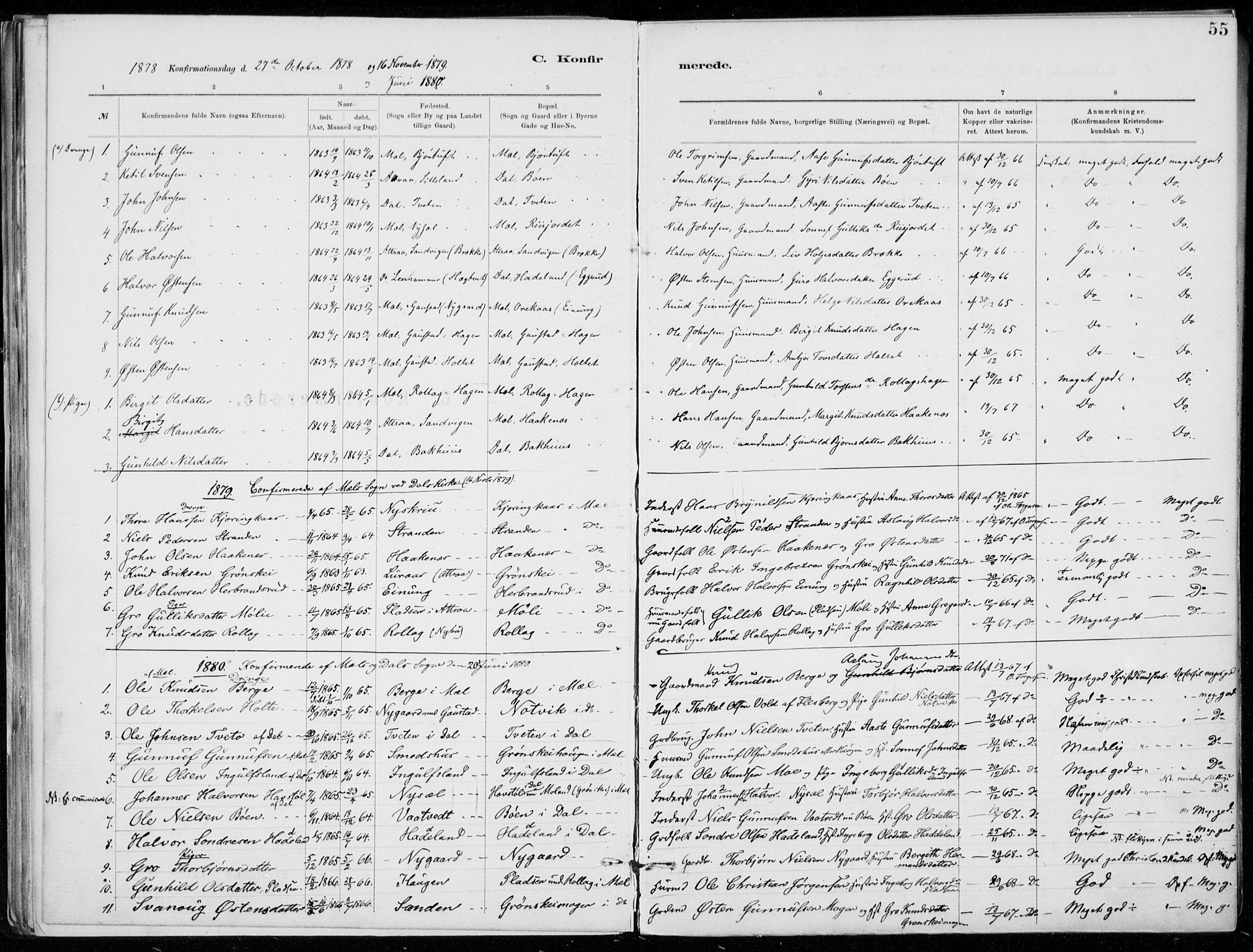 Tinn kirkebøker, SAKO/A-308/F/Fb/L0002: Parish register (official) no. II 2, 1878-1917, p. 55