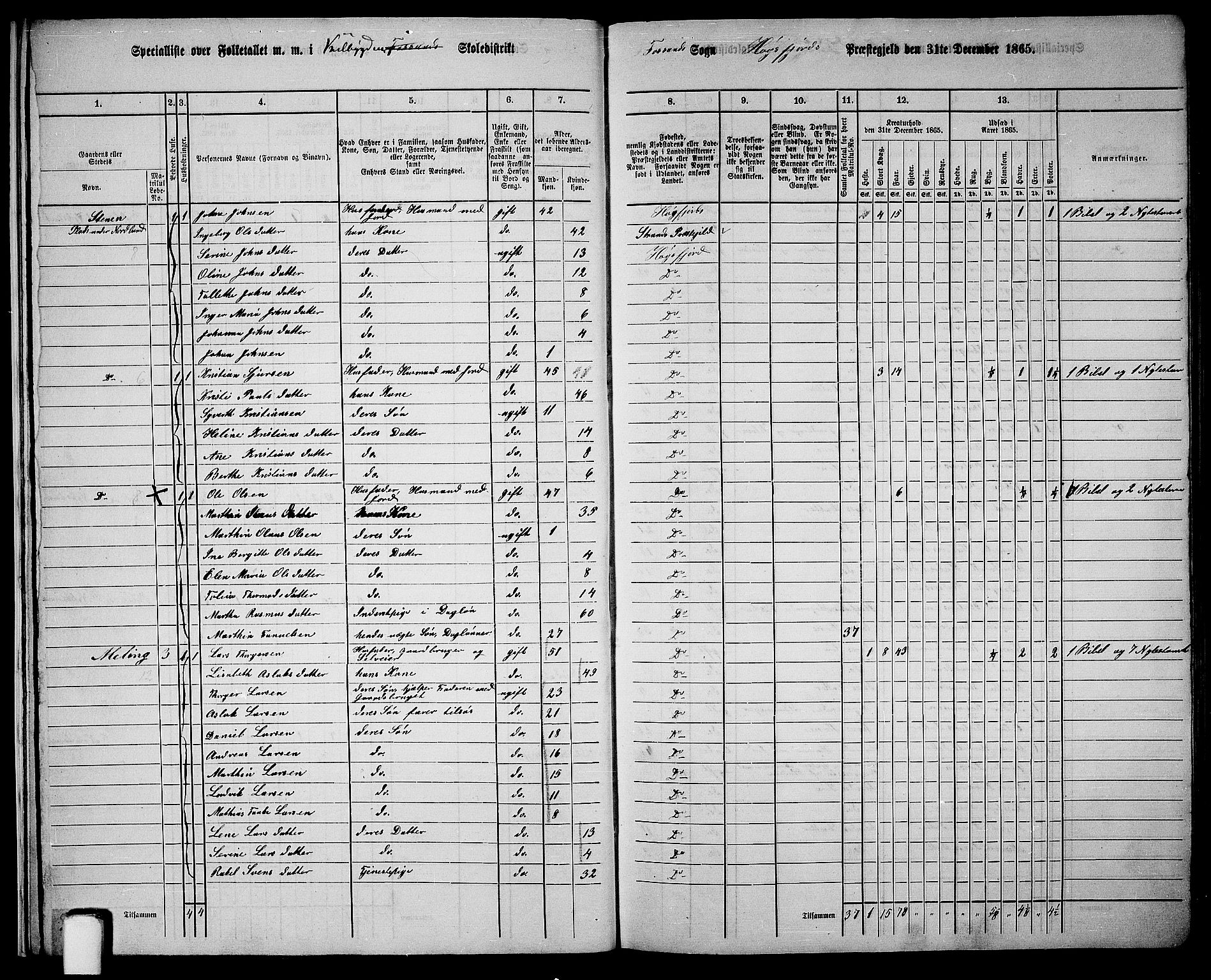 RA, 1865 census for Høgsfjord, 1865, p. 11