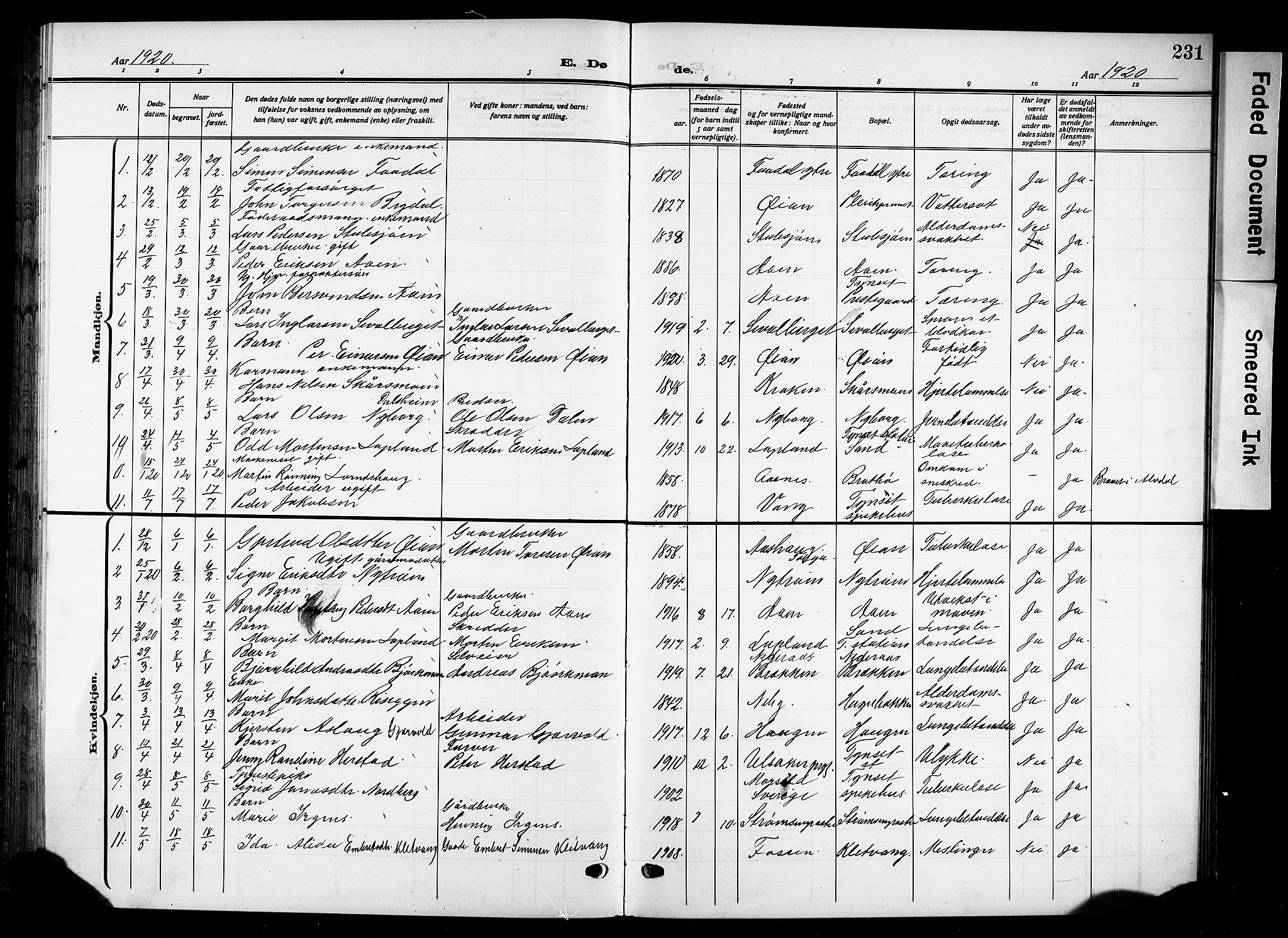Tynset prestekontor, SAH/PREST-058/H/Ha/Hab/L0011: Parish register (copy) no. 11, 1915-1930, p. 231