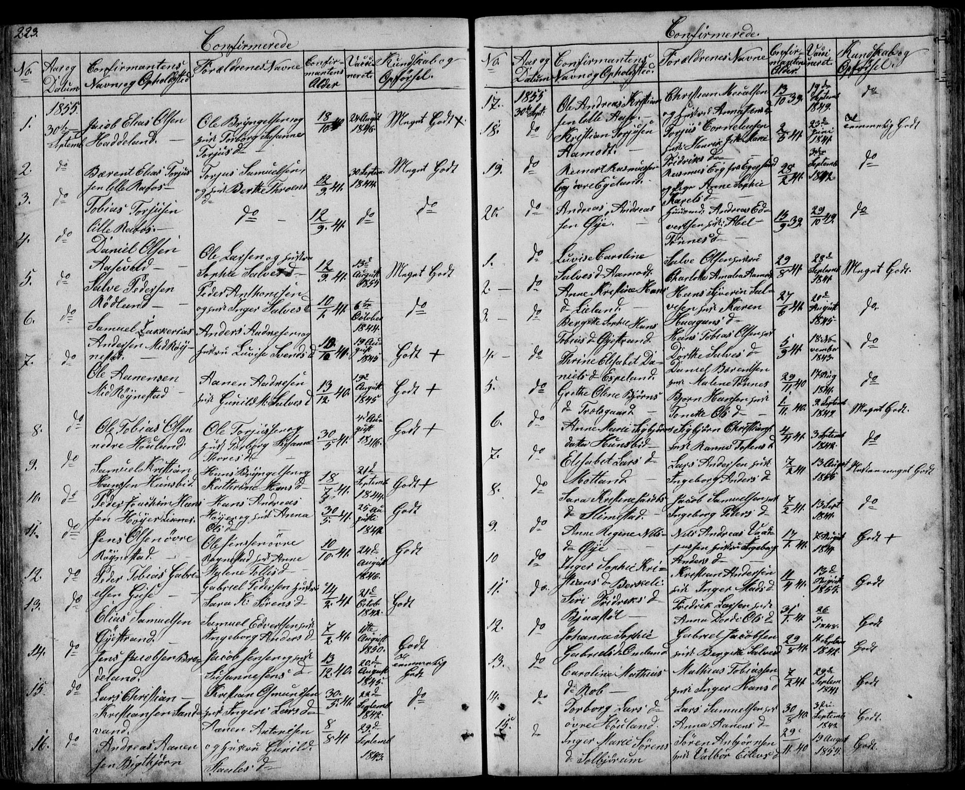 Kvinesdal sokneprestkontor, SAK/1111-0026/F/Fb/Fbb/L0001: Parish register (copy) no. B 1, 1852-1872, p. 223