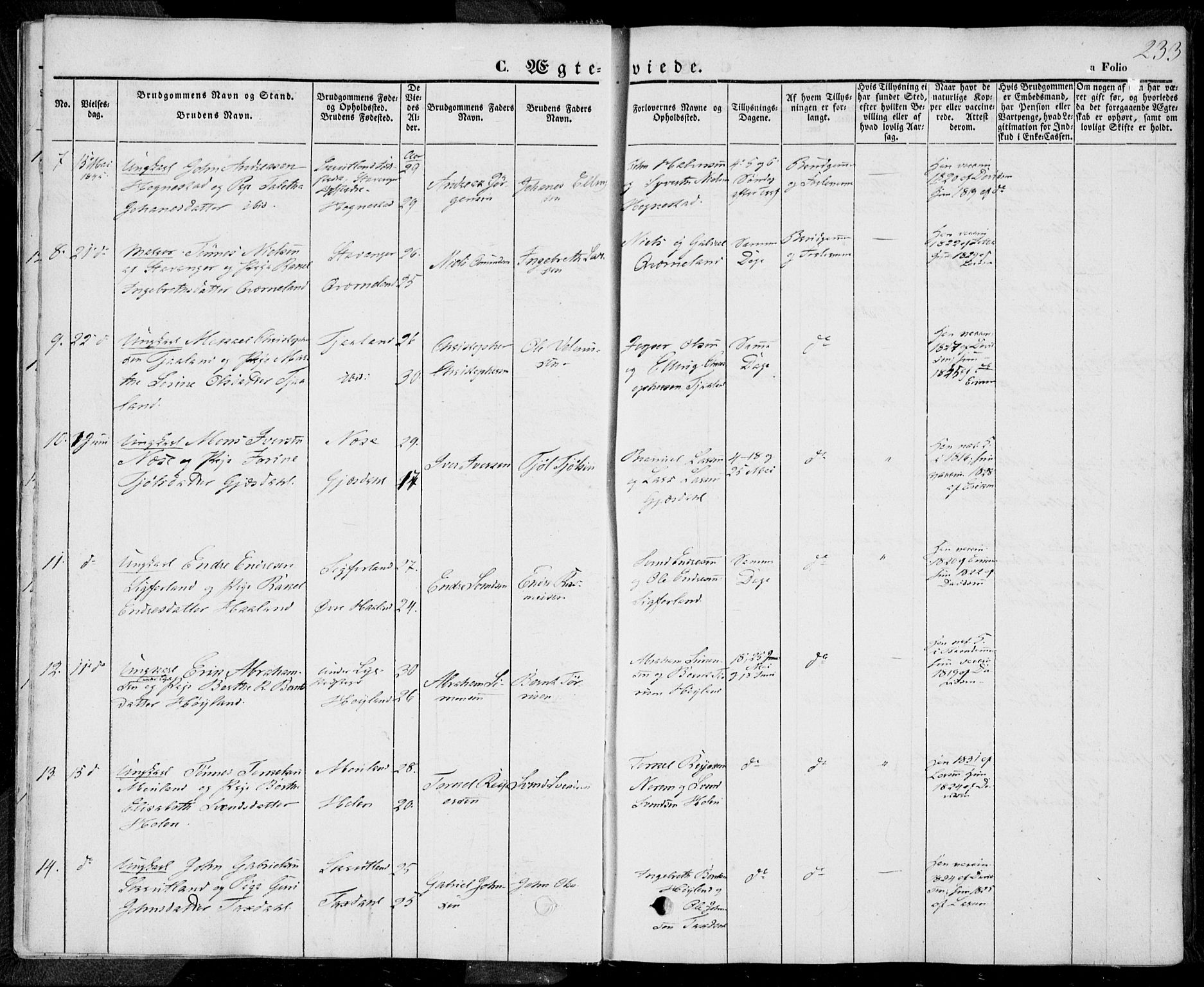 Lye sokneprestkontor, SAST/A-101794/001/30BA/L0006: Parish register (official) no. A 5.2, 1842-1855, p. 233