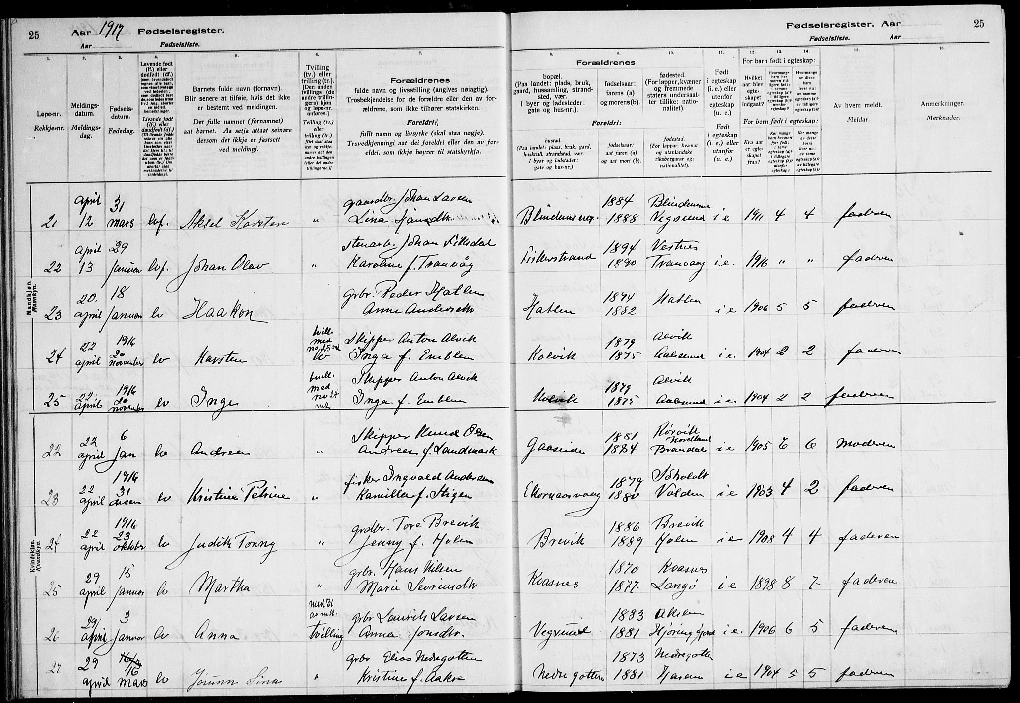 Ministerialprotokoller, klokkerbøker og fødselsregistre - Møre og Romsdal, AV/SAT-A-1454/528/L0442: Birth register no. 528.II.4.1, 1916-1924, p. 25