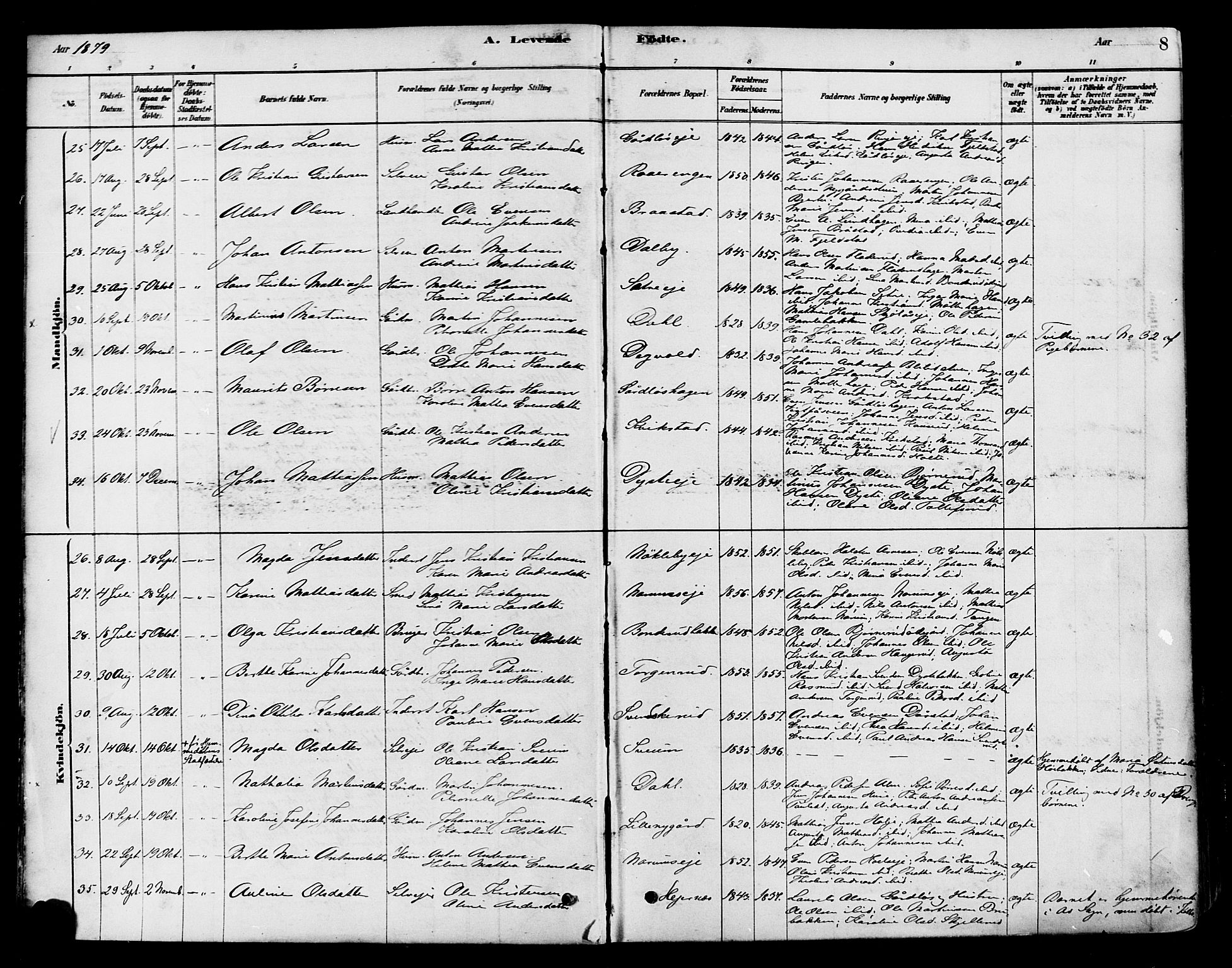 Vestre Toten prestekontor, AV/SAH-PREST-108/H/Ha/Haa/L0010: Parish register (official) no. 10, 1878-1894, p. 8