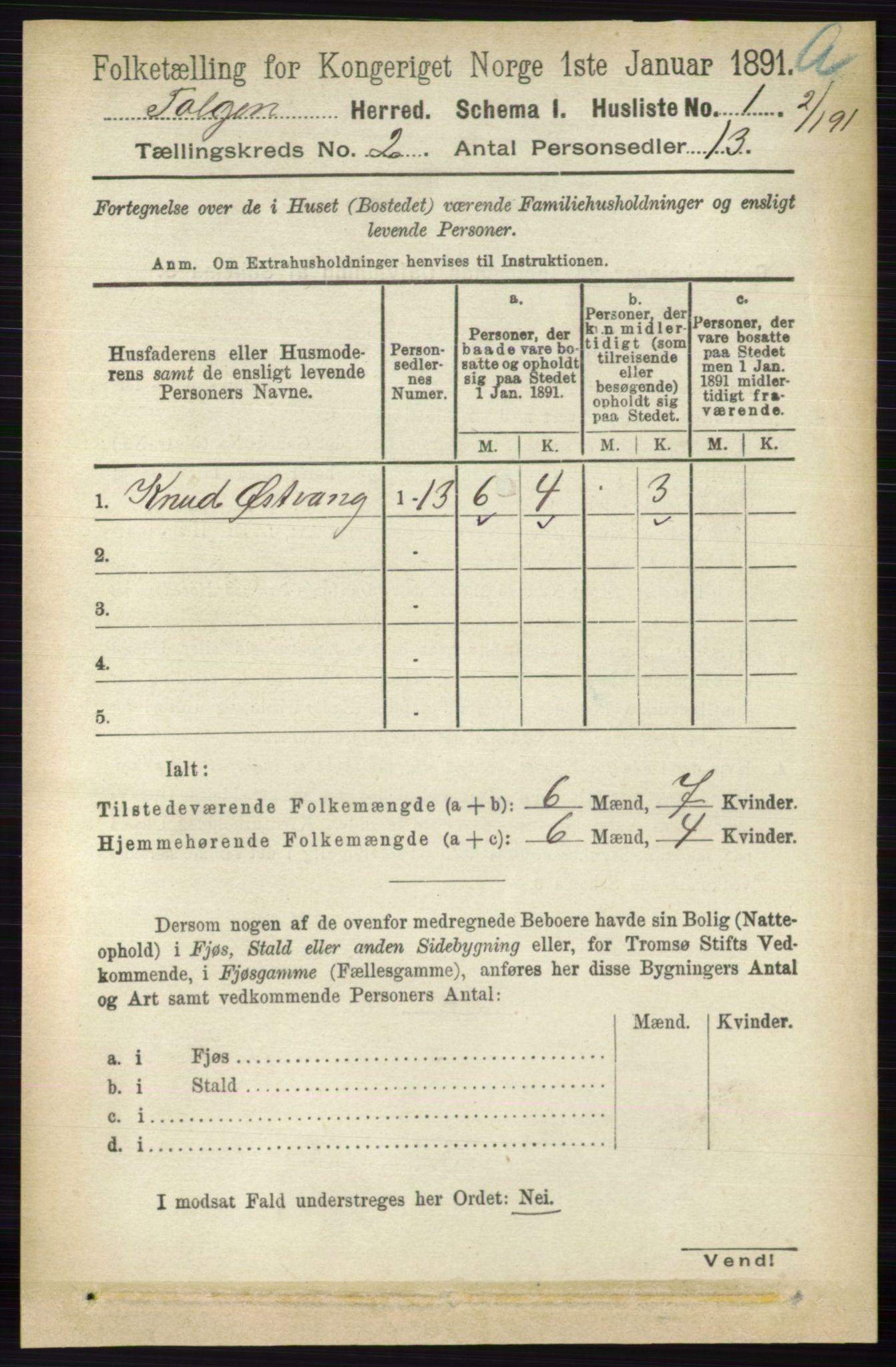 RA, 1891 census for 0436 Tolga, 1891, p. 246