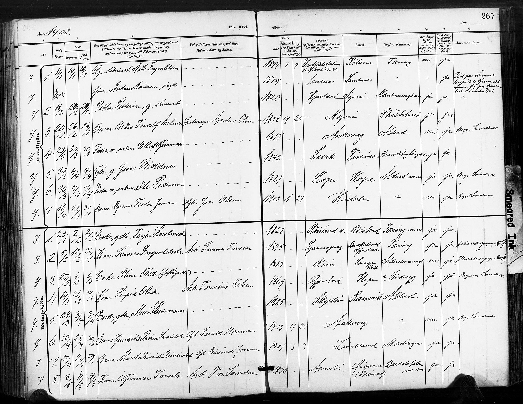 Søndeled sokneprestkontor, SAK/1111-0038/F/Fa/L0006: Parish register (official) no. A 6, 1900-1922, p. 267