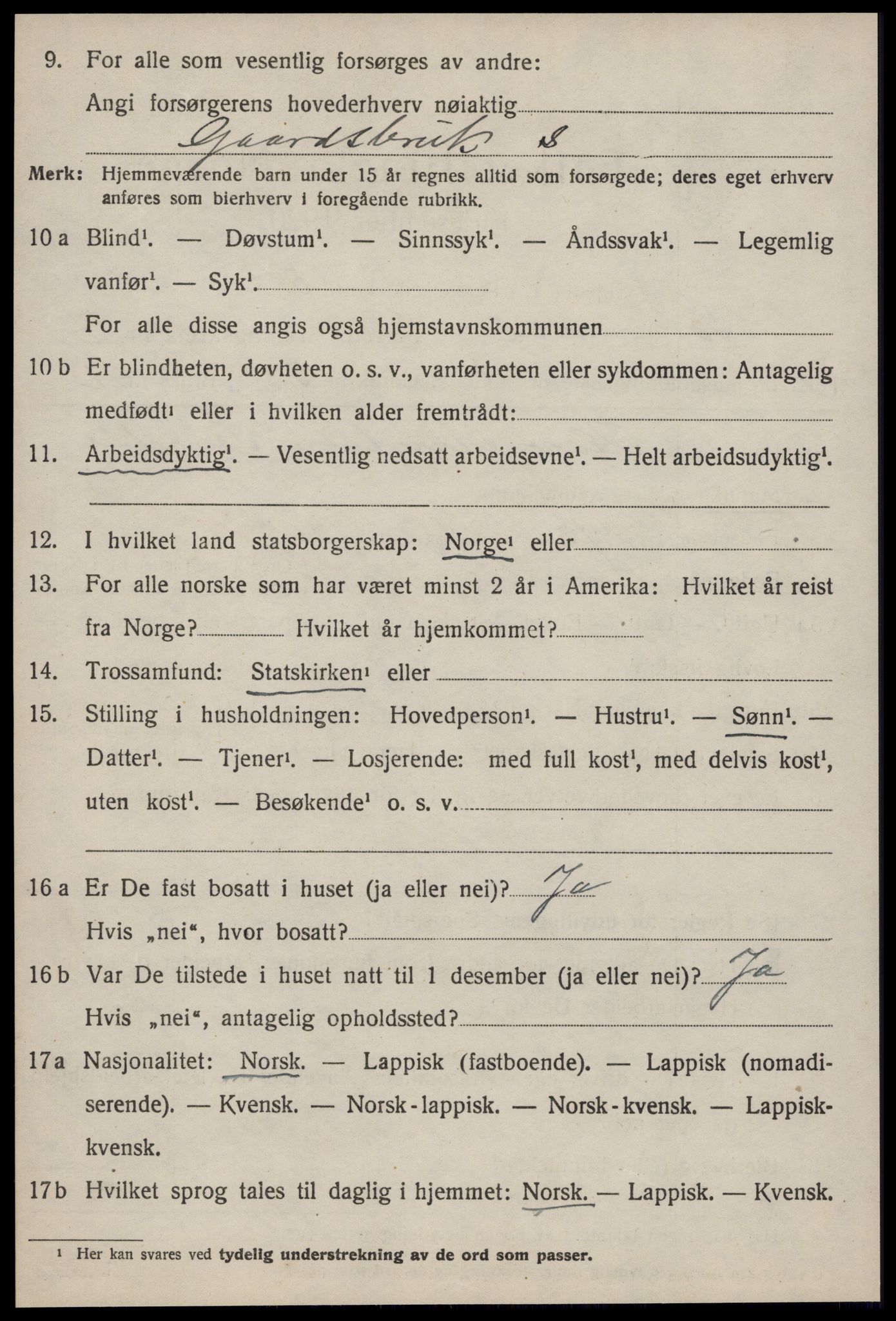 SAT, 1920 census for Soknedal, 1920, p. 3455