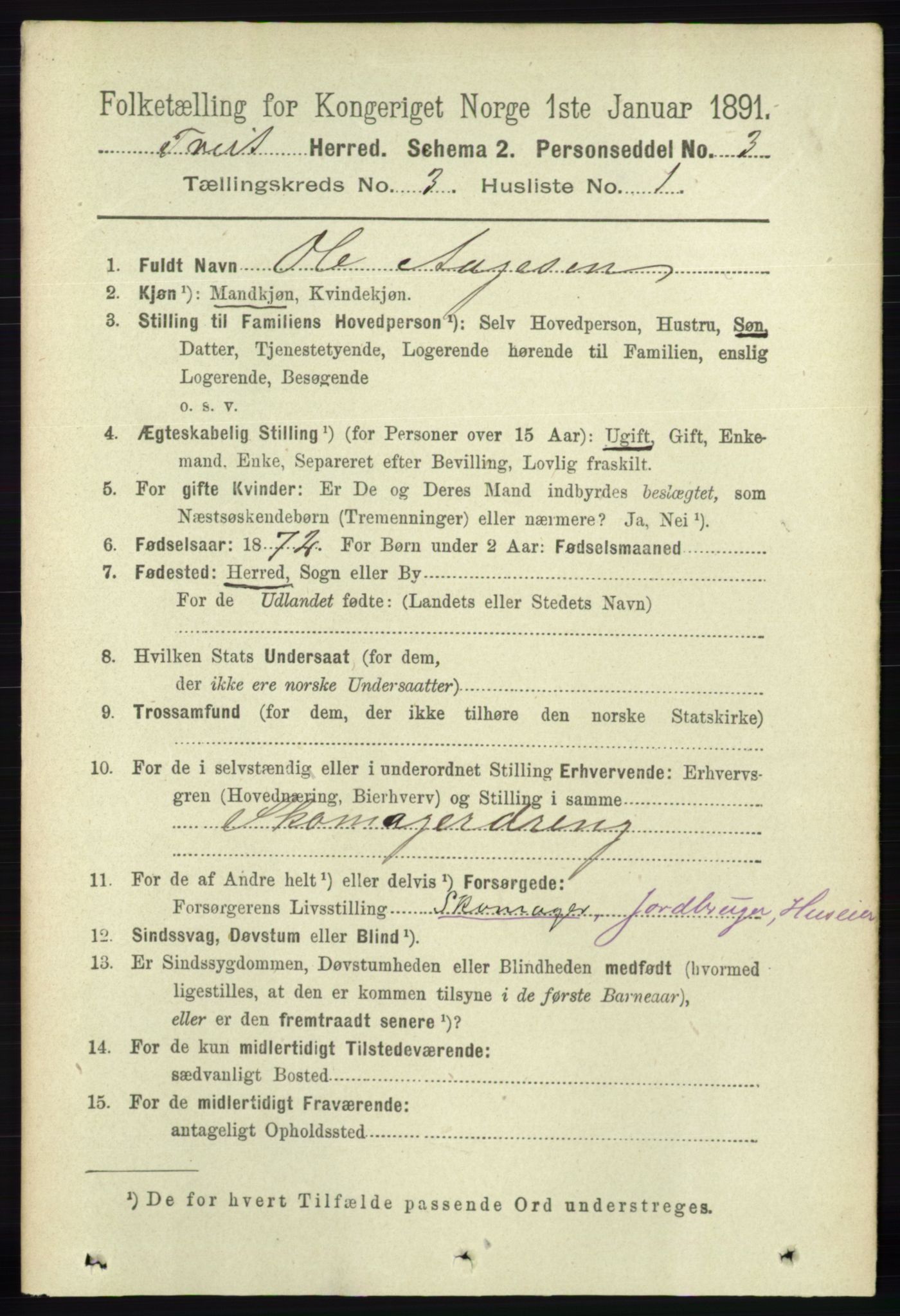 RA, 1891 census for 1013 Tveit, 1891, p. 1183