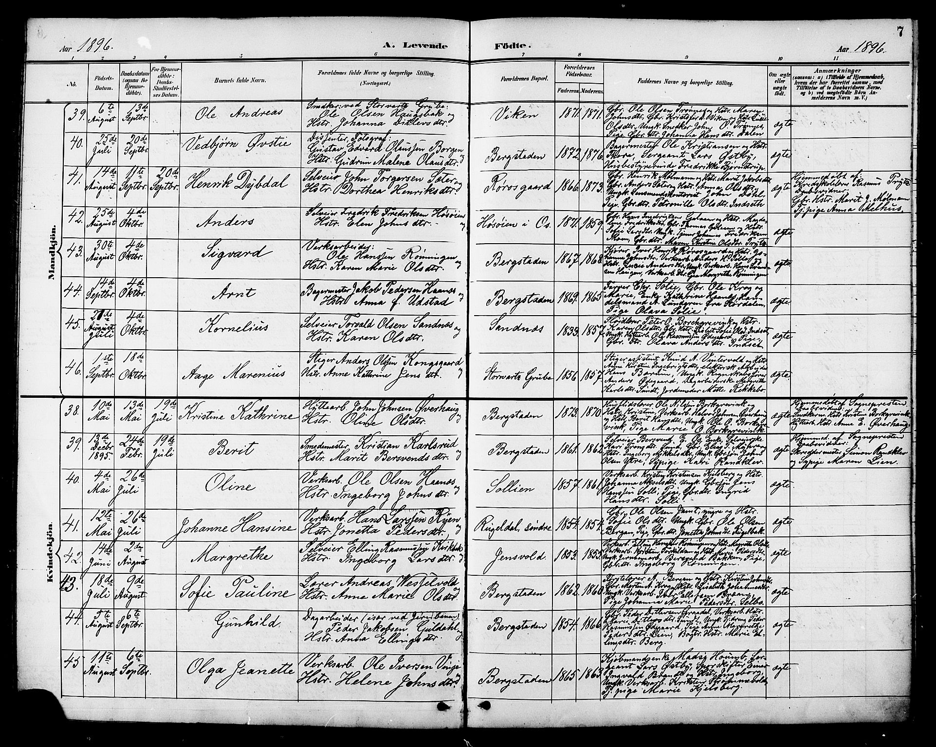 Ministerialprotokoller, klokkerbøker og fødselsregistre - Sør-Trøndelag, SAT/A-1456/681/L0941: Parish register (copy) no. 681C05, 1896-1905, p. 7