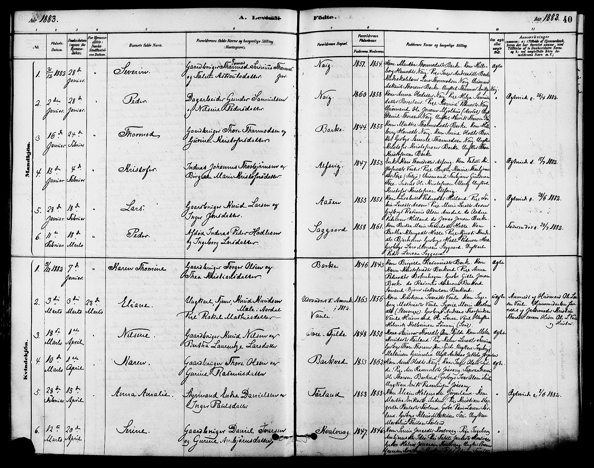 Strand sokneprestkontor, SAST/A-101828/H/Ha/Haa/L0009: Parish register (official) no. A 9, 1877-1908, p. 40
