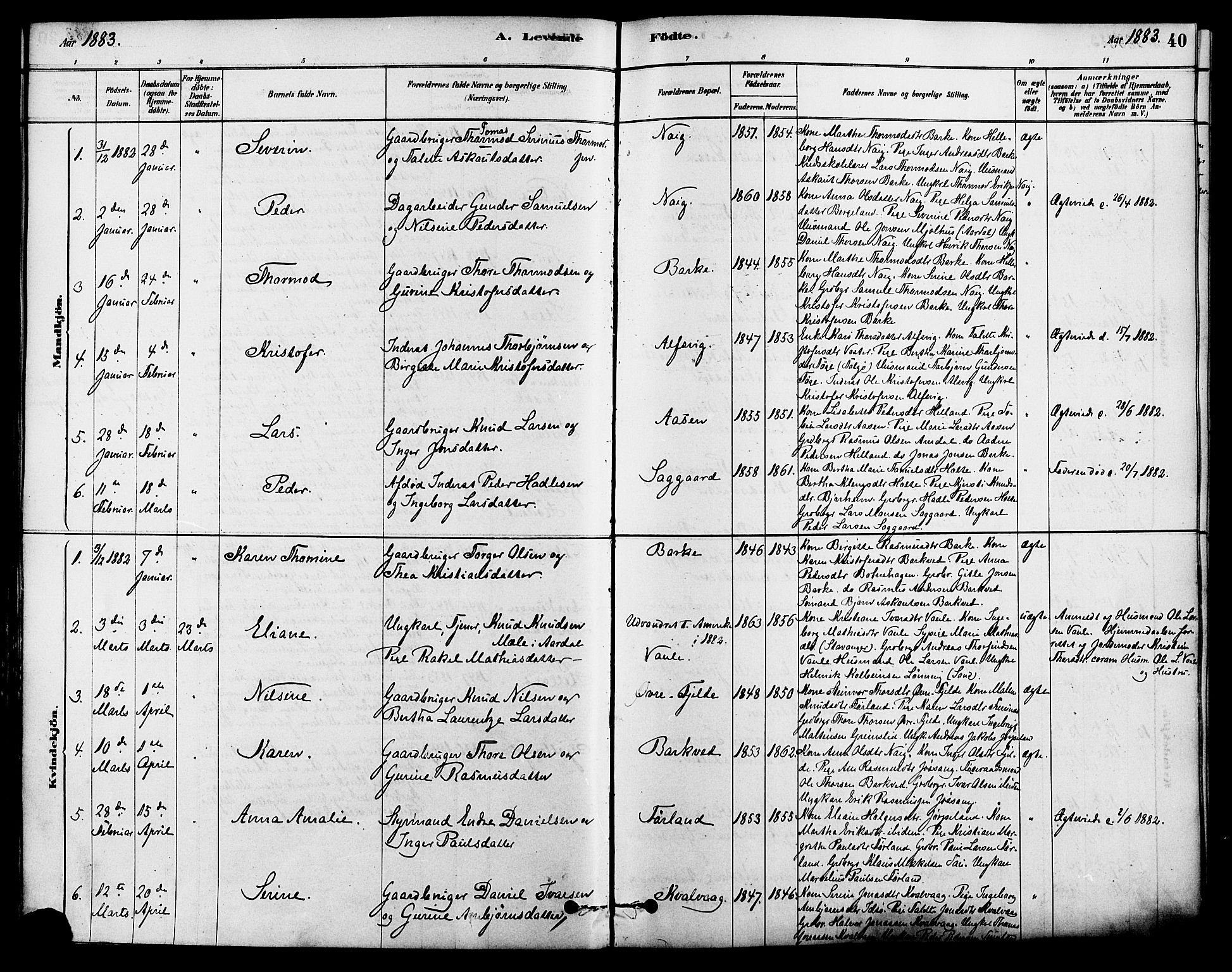 Strand sokneprestkontor, AV/SAST-A-101828/H/Ha/Haa/L0009: Parish register (official) no. A 9, 1877-1908, p. 40