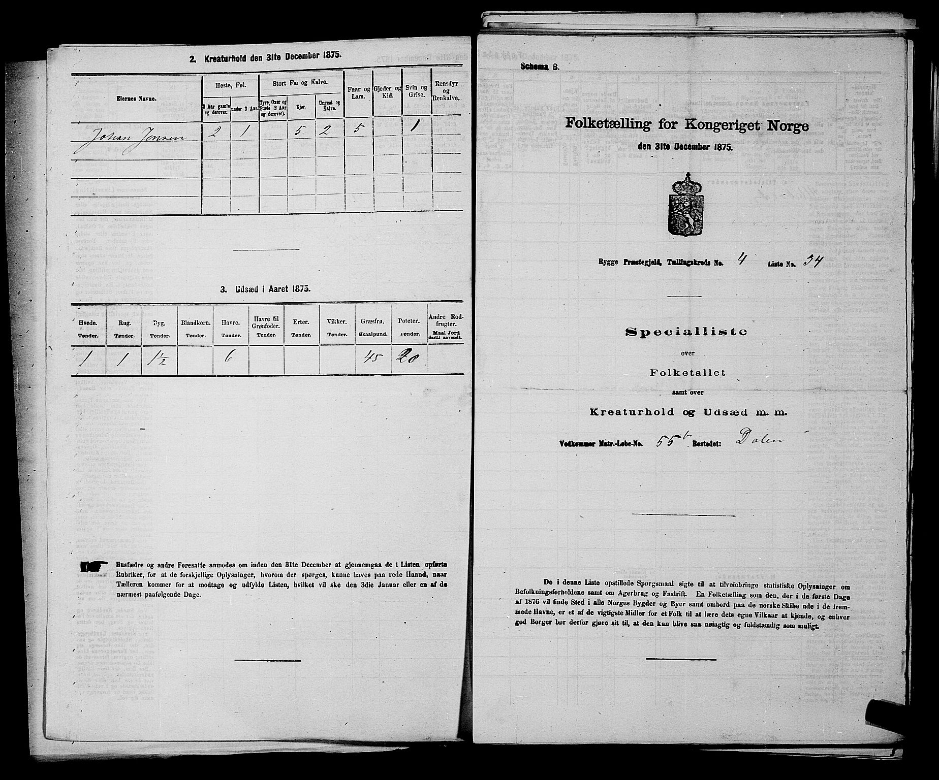 RA, 1875 census for 0136P Rygge, 1875, p. 655