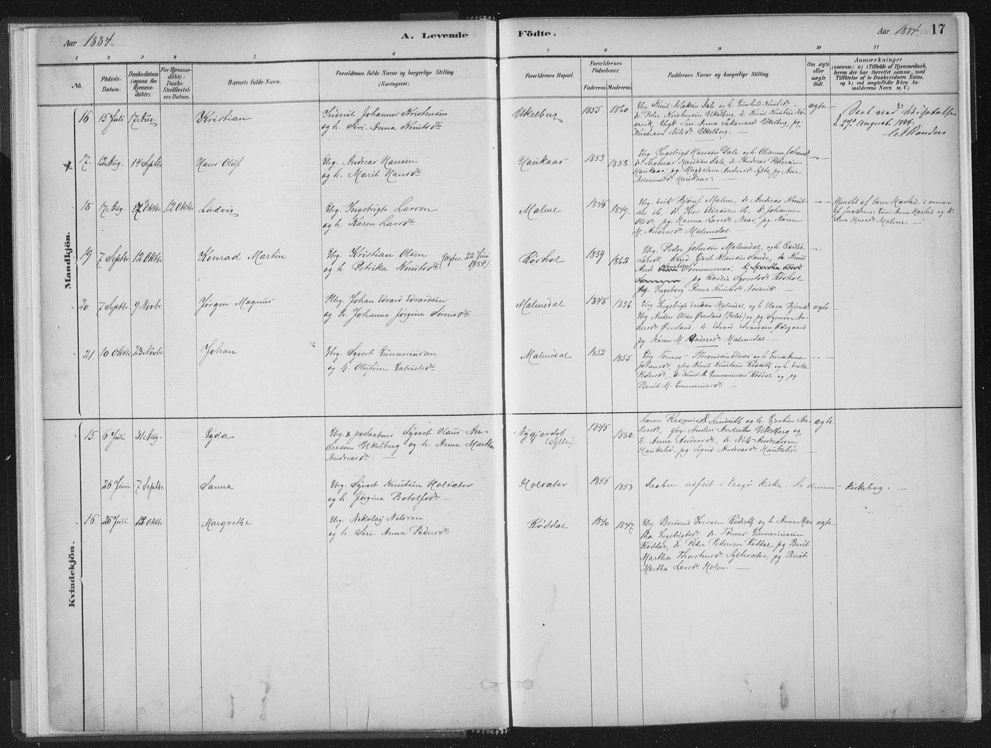 Ministerialprotokoller, klokkerbøker og fødselsregistre - Møre og Romsdal, AV/SAT-A-1454/564/L0740: Parish register (official) no. 564A01, 1880-1899, p. 17